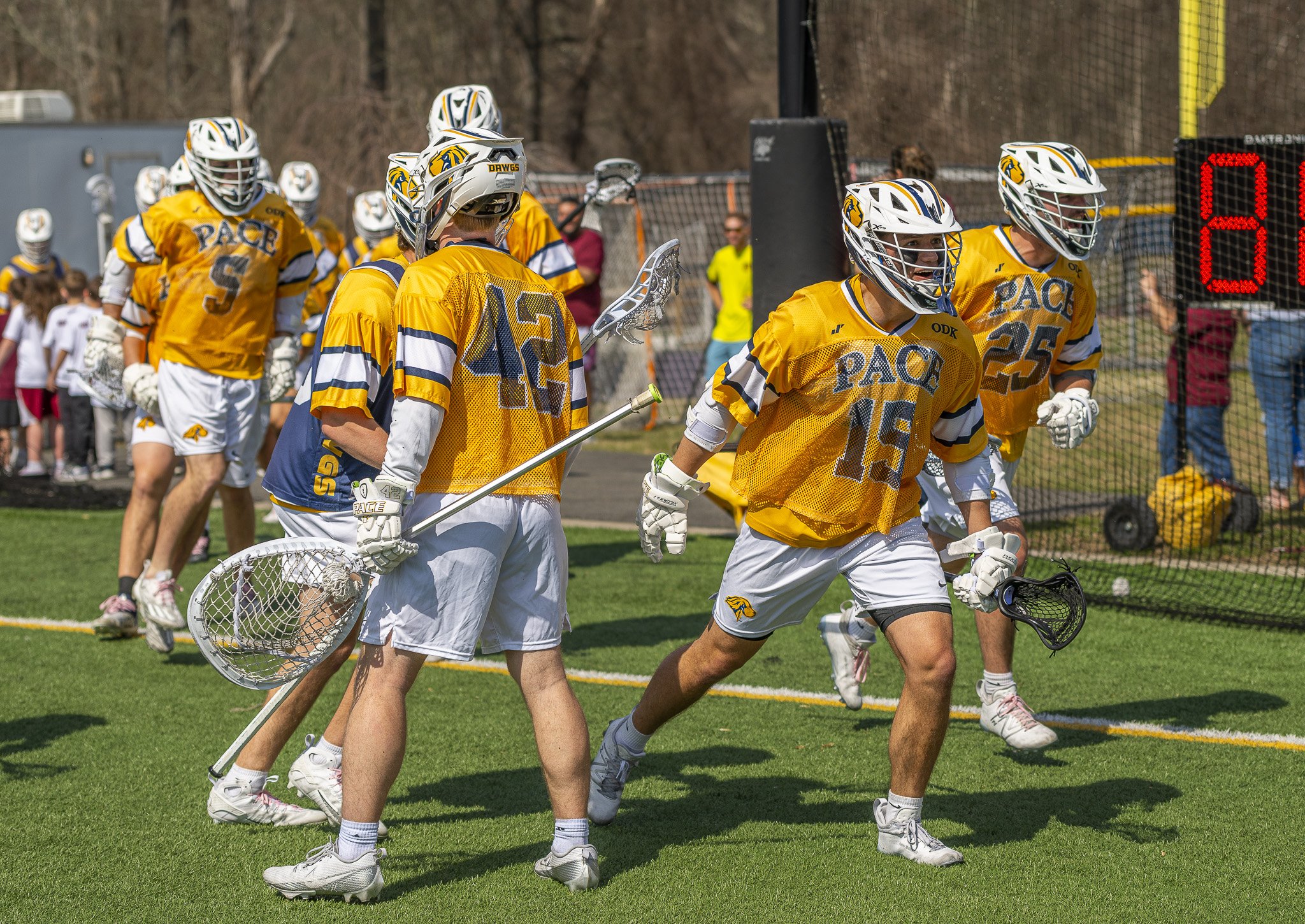 2025-03-29 Pace Lacrosse vs. St. Michael's College-26-17.jpg