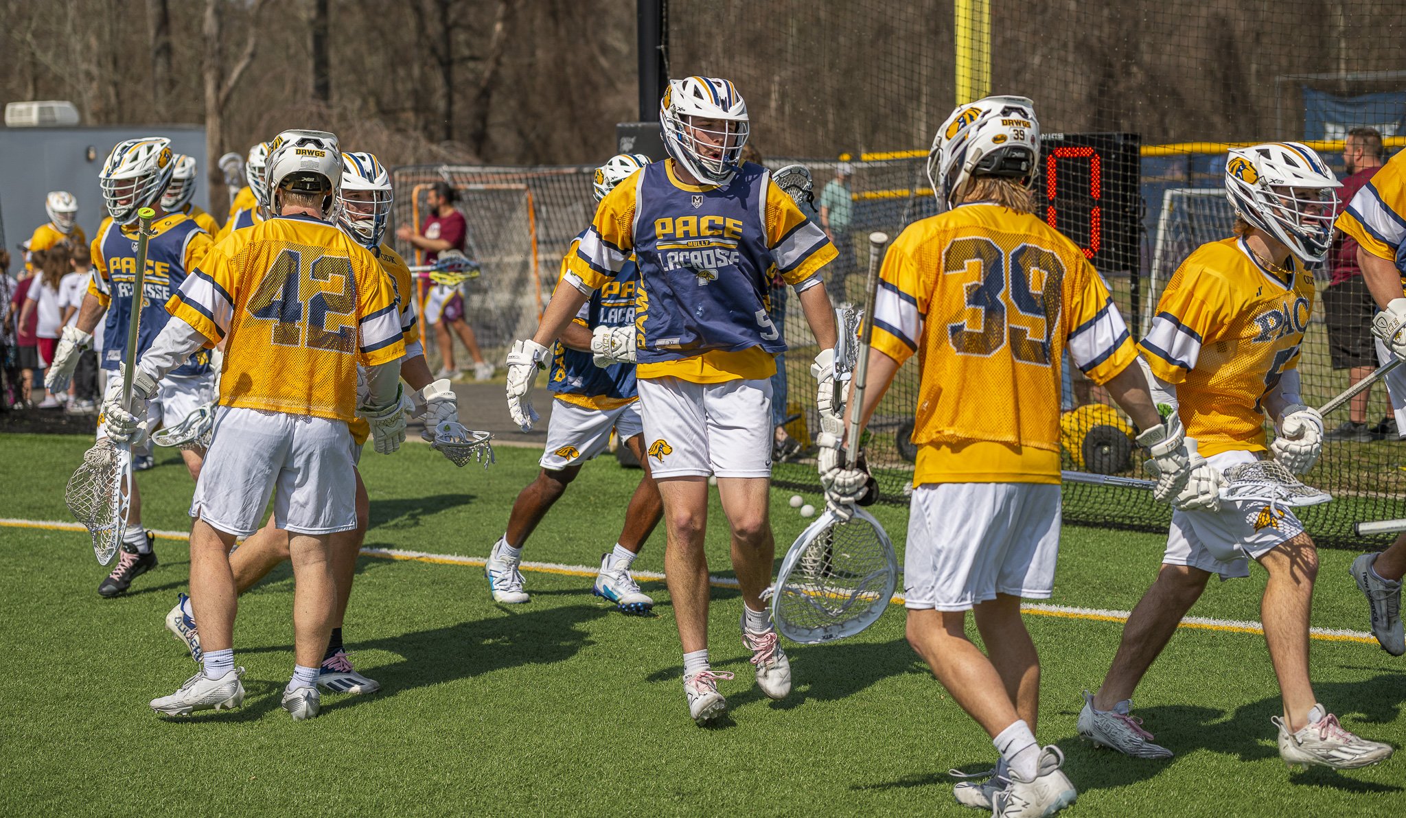 2025-03-29 Pace Lacrosse vs. St. Michael's College-27-18.jpg