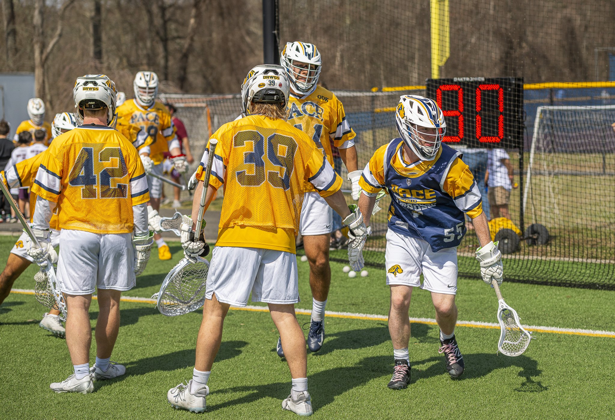2025-03-29 Pace Lacrosse vs. St. Michael's College-29-20.jpg