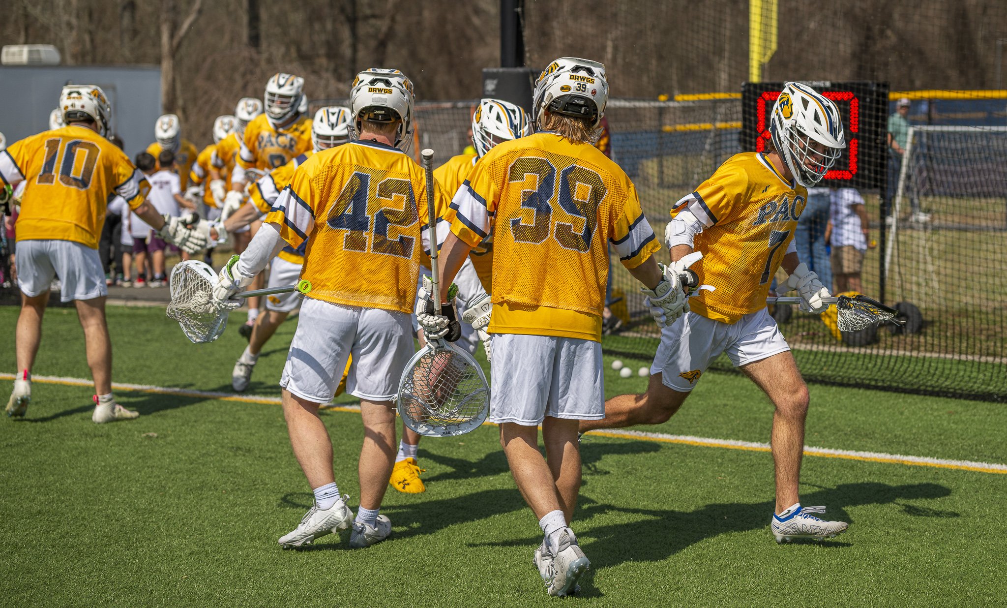 2025-03-29 Pace Lacrosse vs. St. Michael's College-31-22.jpg