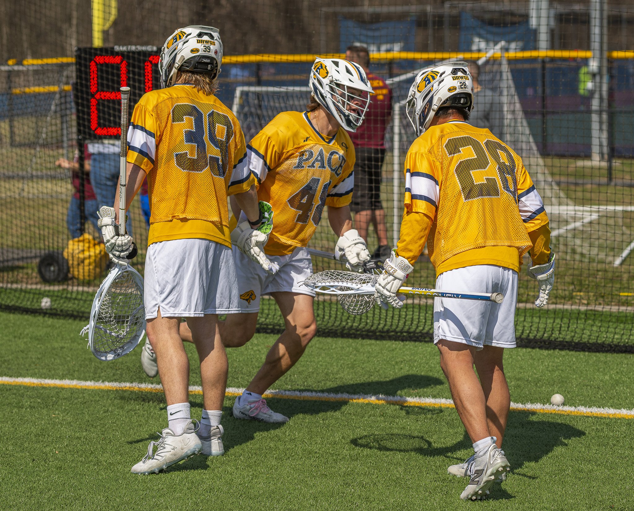 2025-03-29 Pace Lacrosse vs. St. Michael's College-38-29.jpg