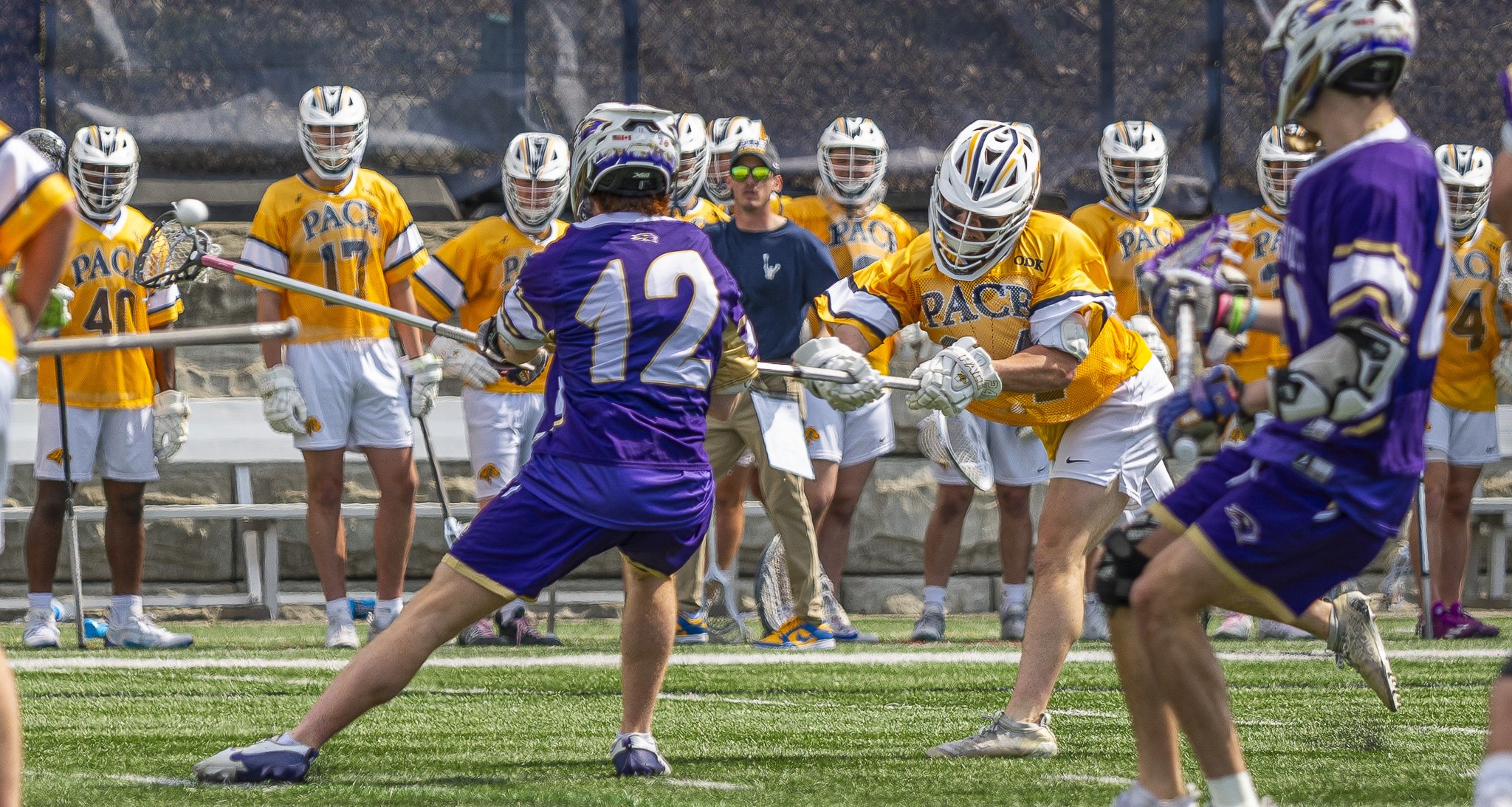 2025-03-29 Pace Lacrosse vs. St. Michael's College-47-38.jpg