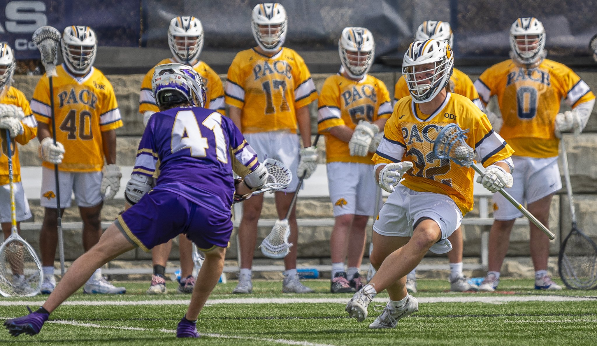 2025-03-29 Pace Lacrosse vs. St. Michael's College-64-55.jpg