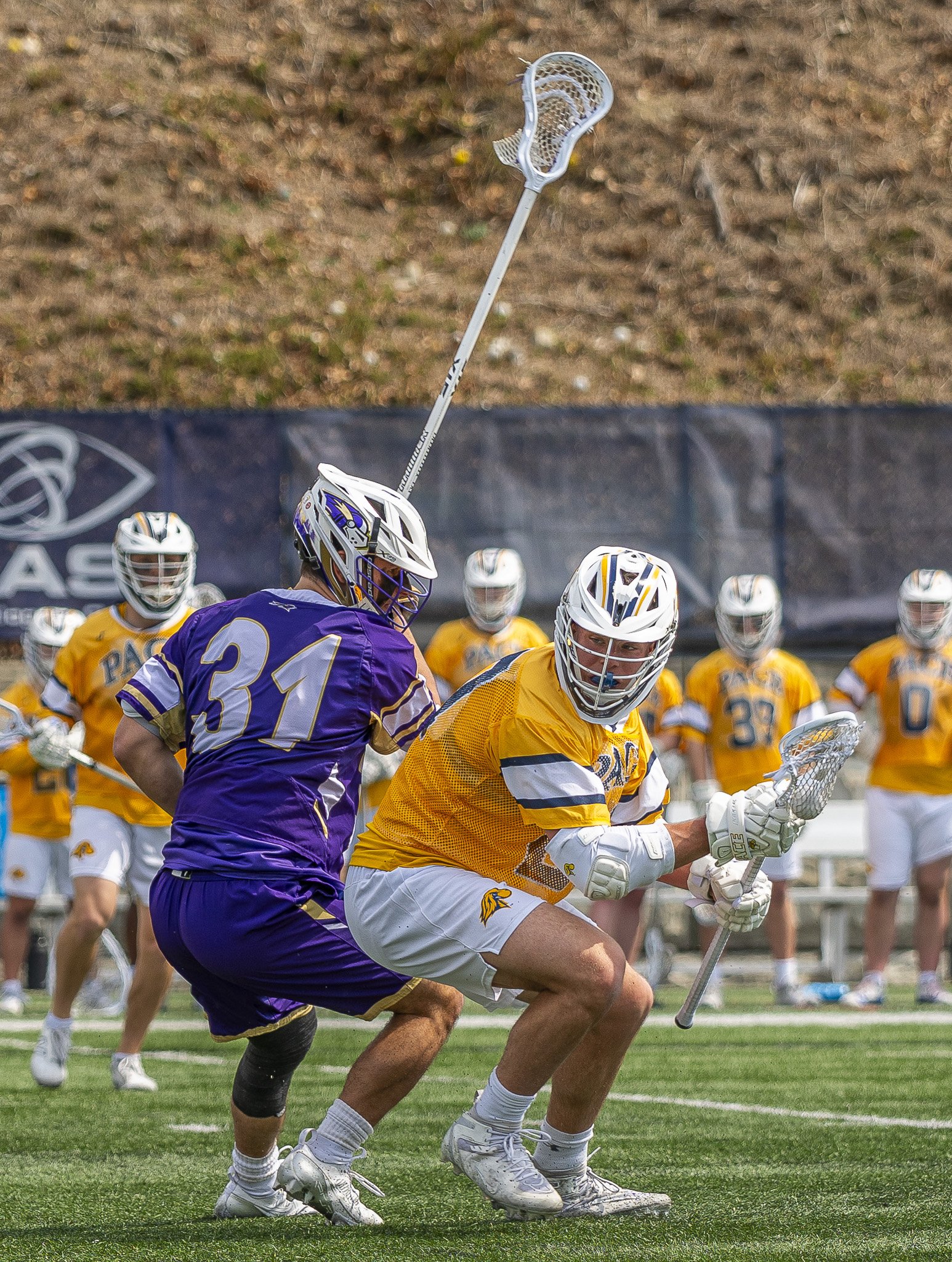2025-03-29 Pace Lacrosse vs. St. Michael's College-65-56.jpg