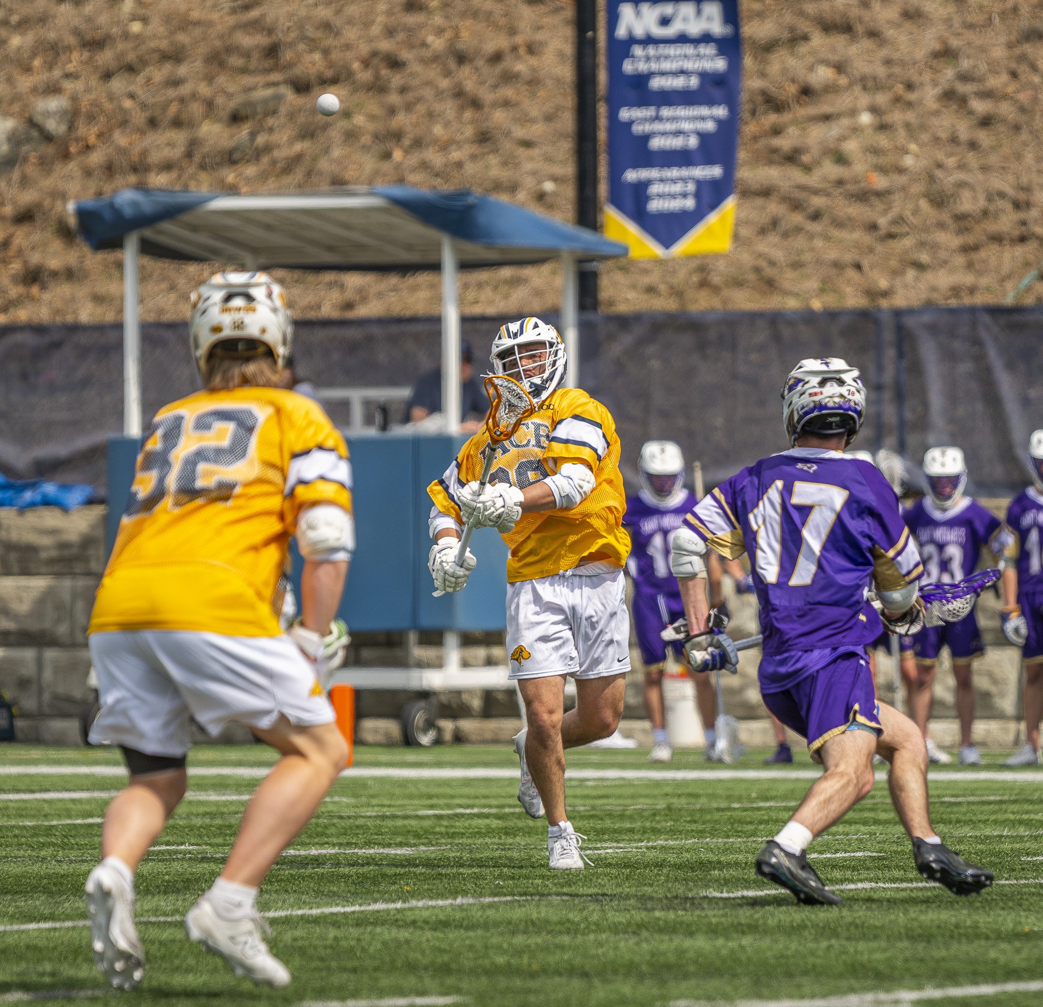 2025-03-29 Pace Lacrosse vs. St. Michael's College-91-82.jpg