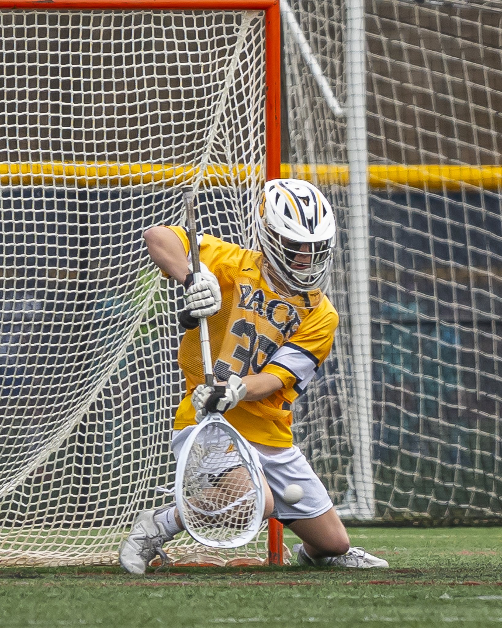 2025-03-29 Pace Lacrosse vs. St. Michael's College-149-140.jpg