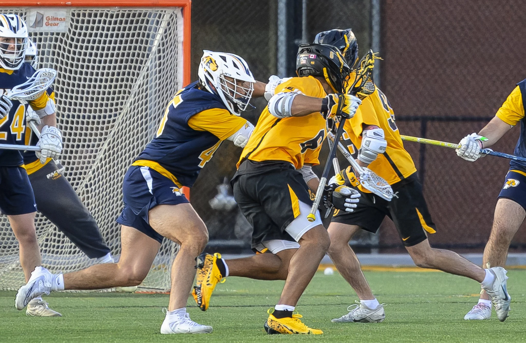 2025-04-15 Pace Lacrosse @ Adelphi University-91-26.jpg