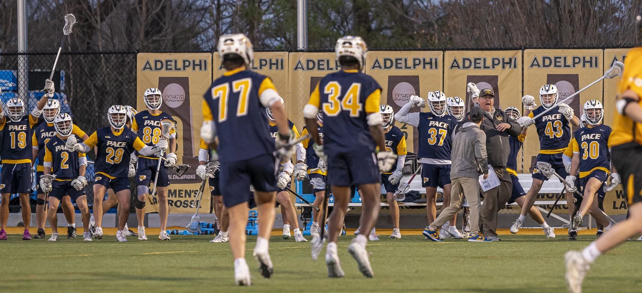 2025-04-15 Pace Lacrosse @ Adelphi University-104-39.jpg