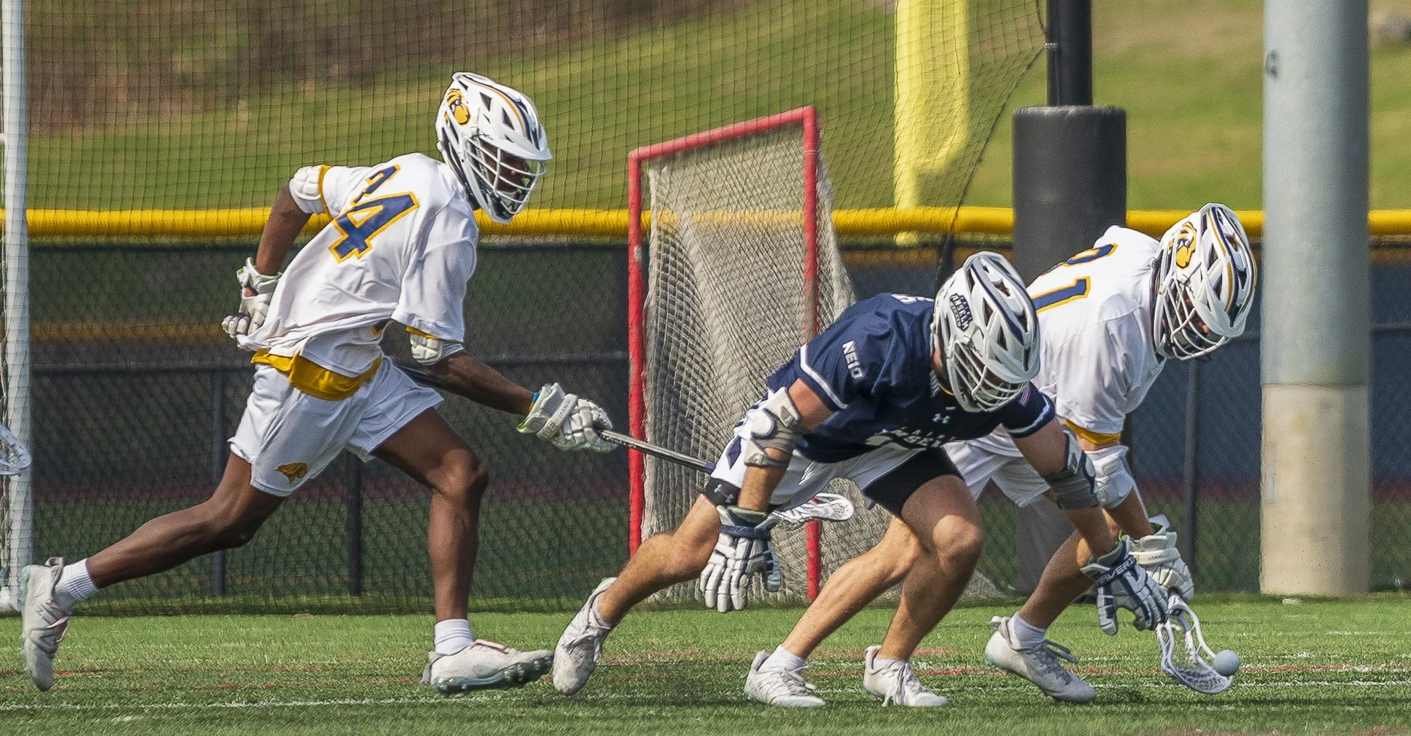 2025-04-19 Pace Lacrosse vs. St. Anselm College-99-91.jpg