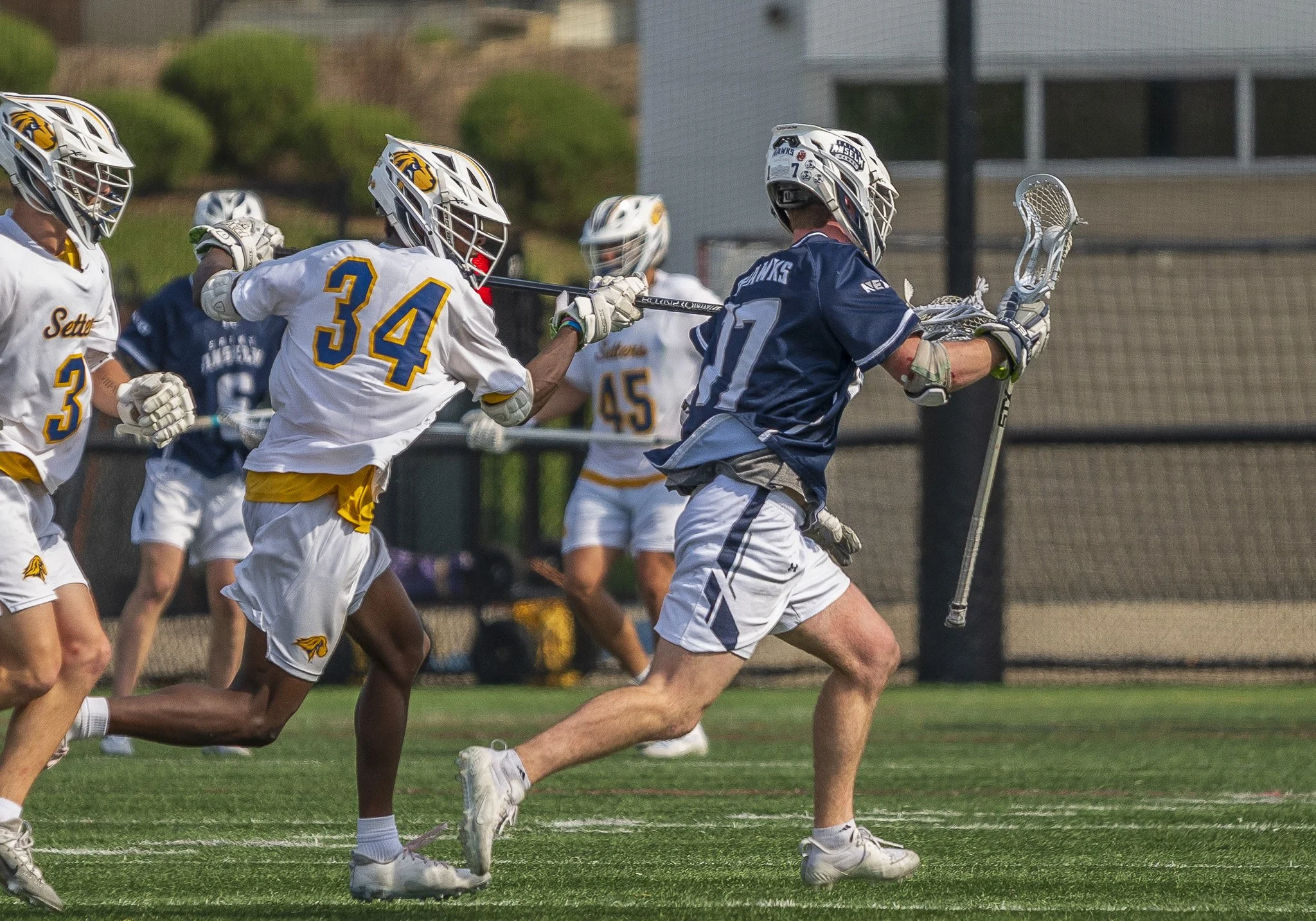 2025-04-19 Pace Lacrosse vs. St. Anselm College-123-115.jpg