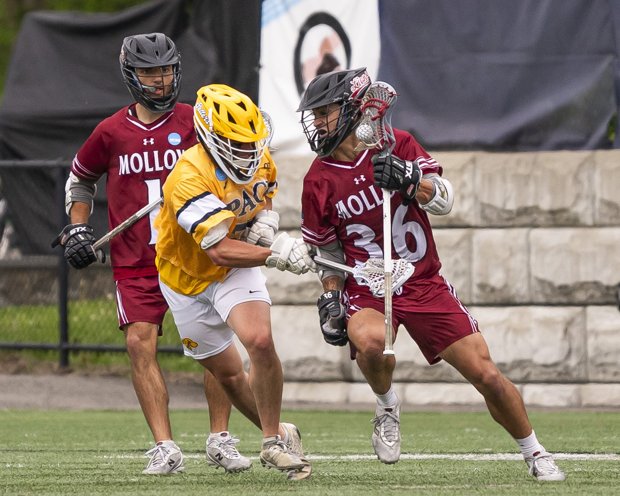 2025-05-07 Pace Lacrosse NCAA D2 North Regional Round 1 Playoffs vs. Molly University-1-1.jpg