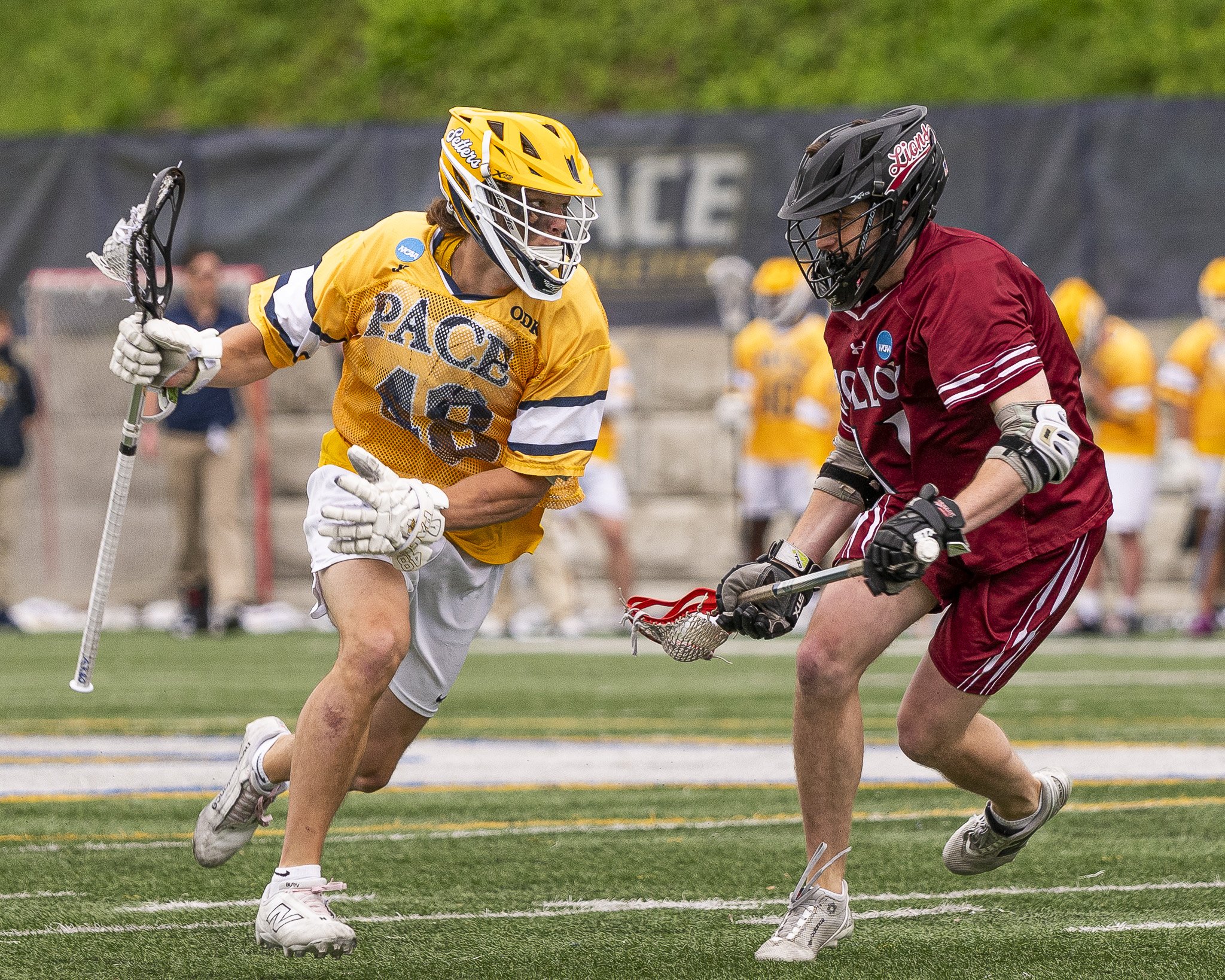 2025-05-07 Pace Lacrosse NCAA D2 North Regional Round 1 Playoffs vs. Molly University-7-7.jpg