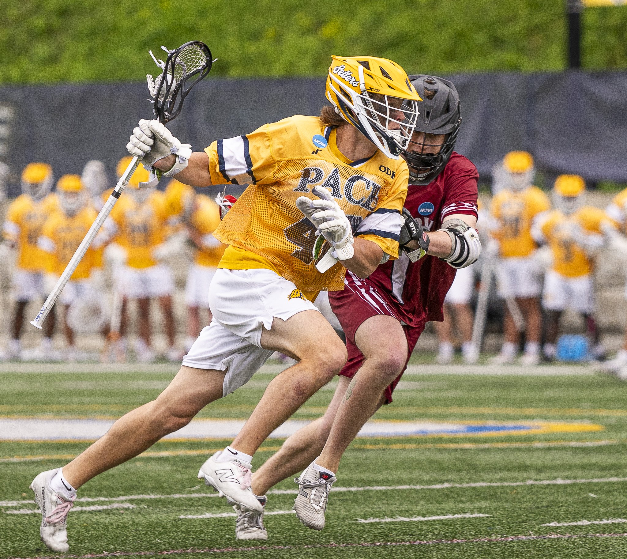 2025-05-07 Pace Lacrosse NCAA D2 North Regional Round 1 Playoffs vs. Molly University-8-8.jpg