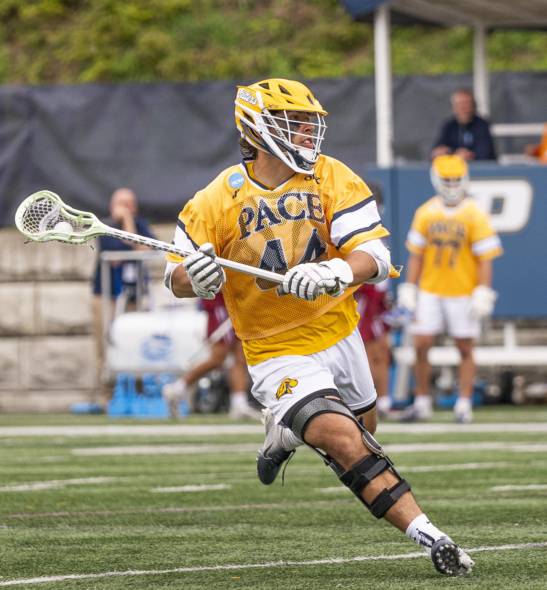 2025-05-07 Pace Lacrosse NCAA D2 North Regional Round 1 Playoffs vs. Molly University-10-10.jpg
