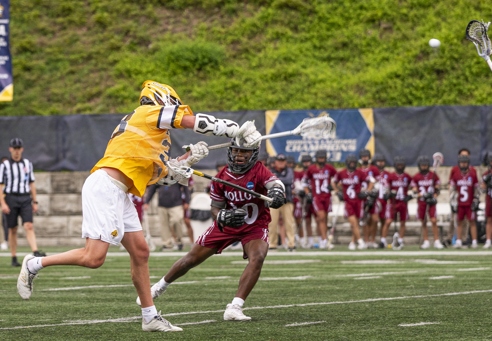 2025-05-07 Pace Lacrosse NCAA D2 North Regional Round 1 Playoffs vs. Molly University-17-17.jpg