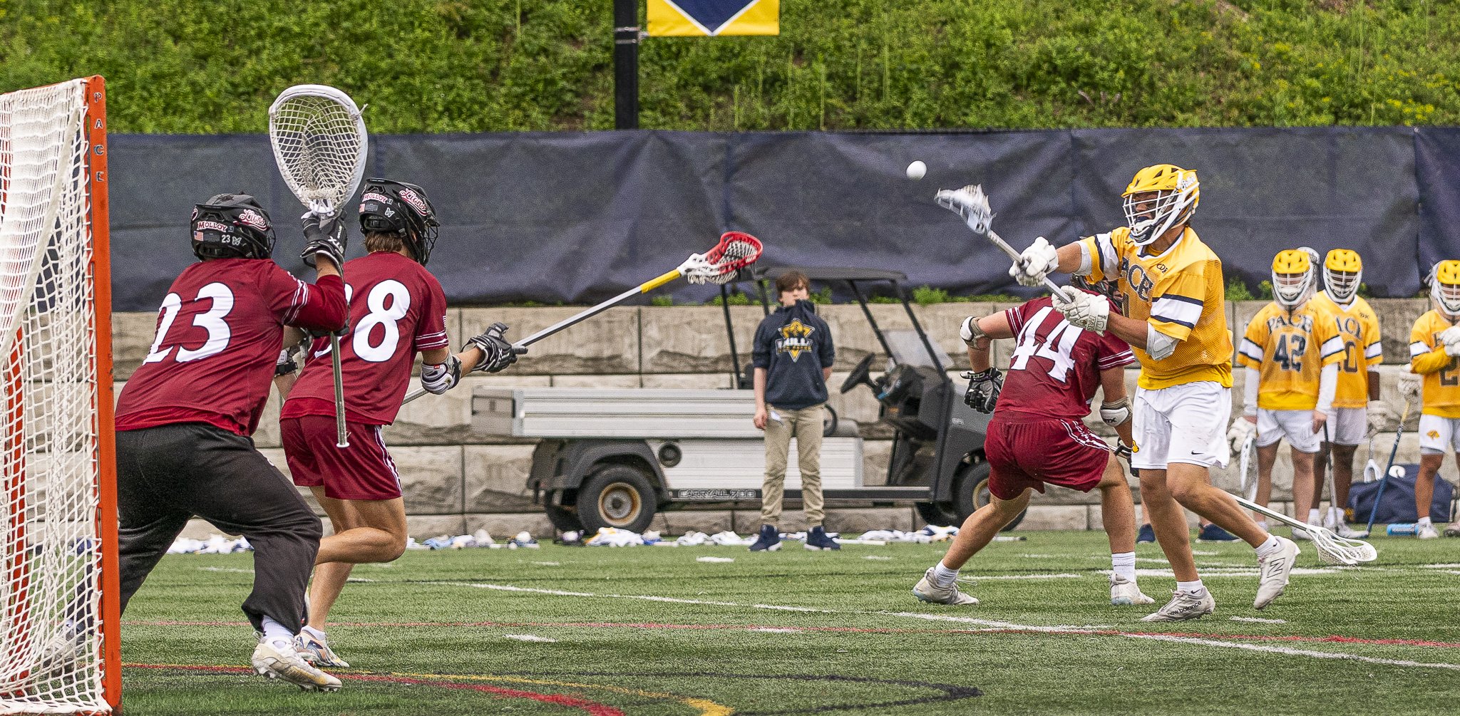2025-05-07 Pace Lacrosse NCAA D2 North Regional Round 1 Playoffs vs. Molly University-29-29.jpg