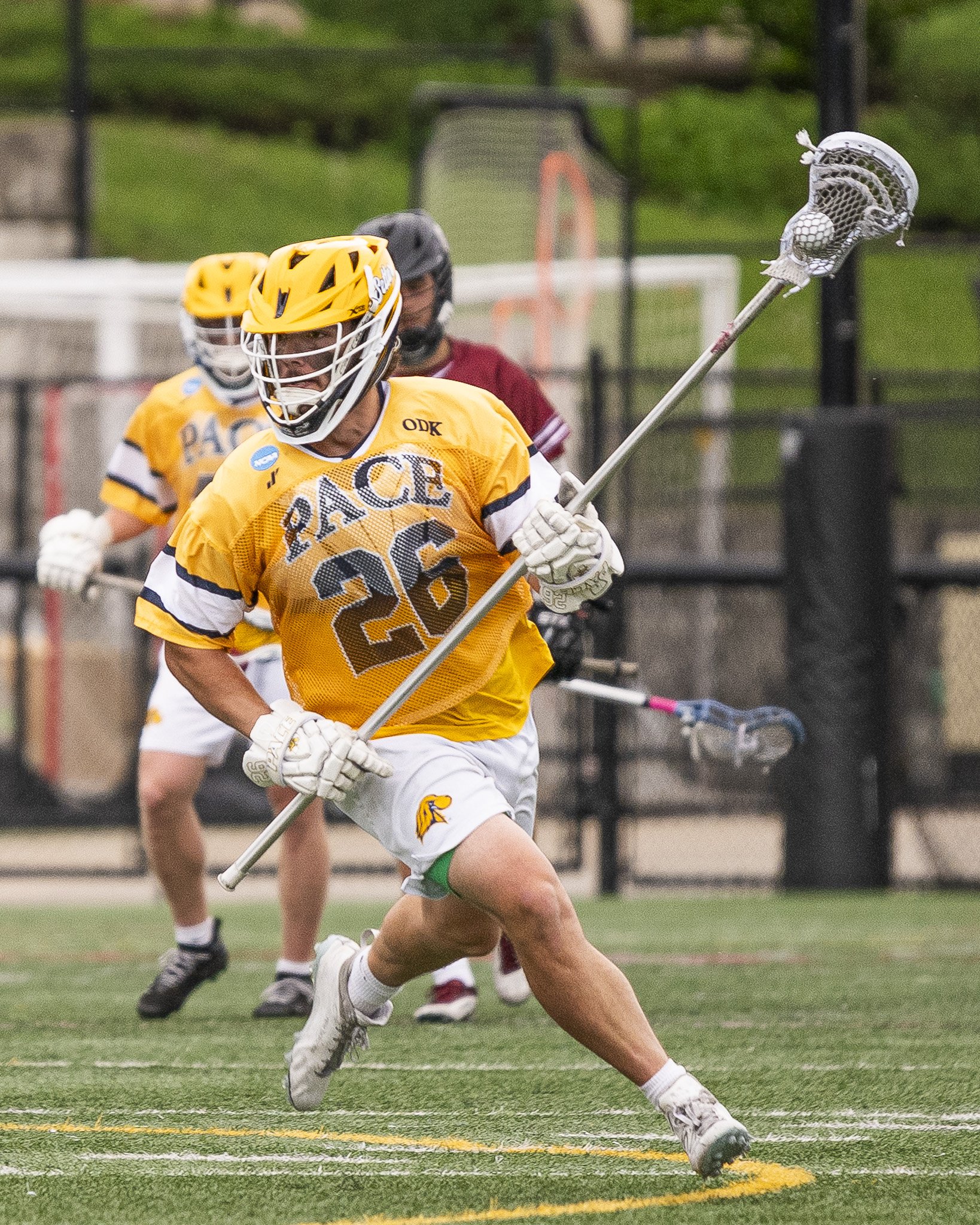 2025-05-07 Pace Lacrosse NCAA D2 North Regional Round 1 Playoffs vs. Molly University-33-33.jpg