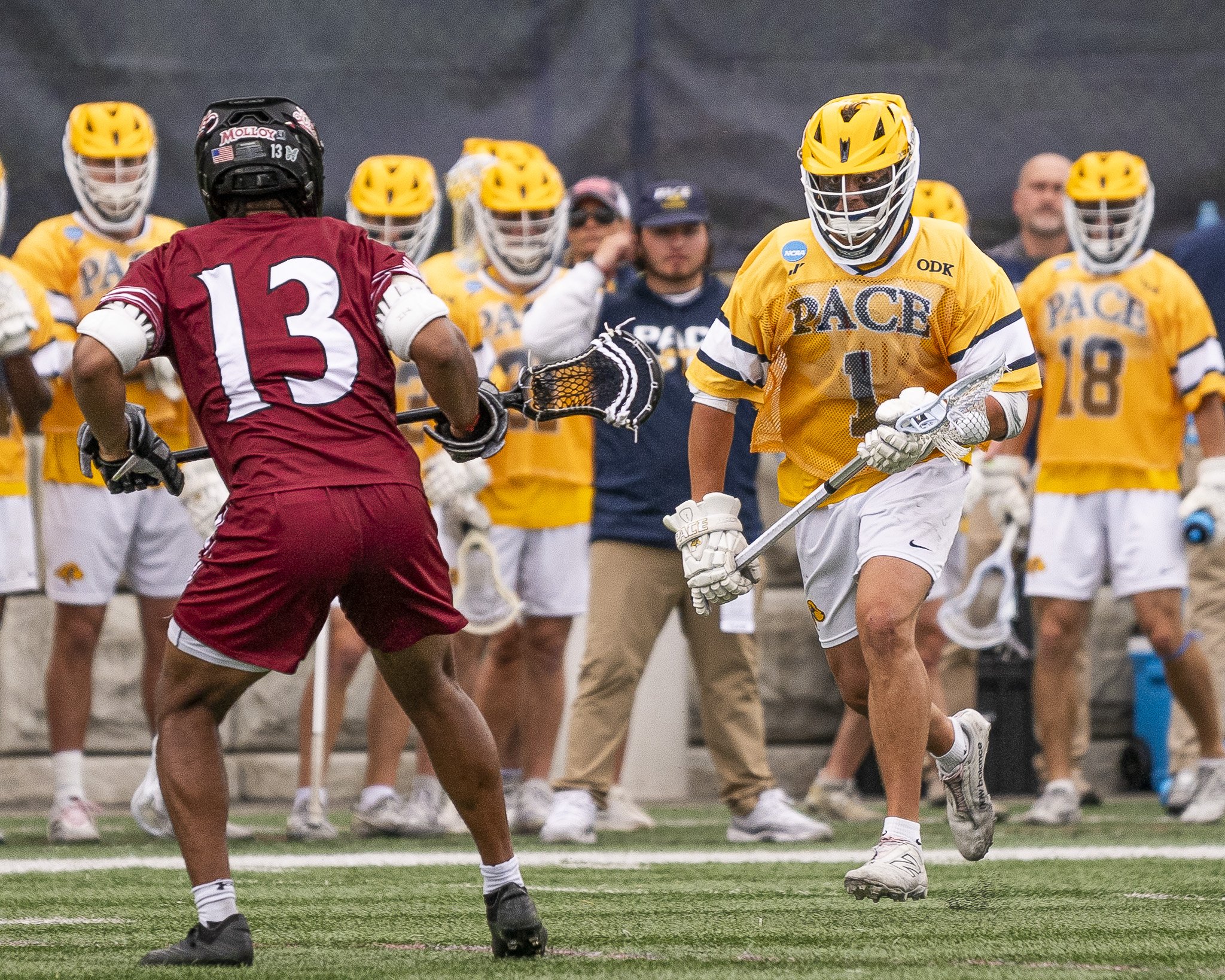 2025-05-07 Pace Lacrosse NCAA D2 North Regional Round 1 Playoffs vs. Molly University-34-34.jpg