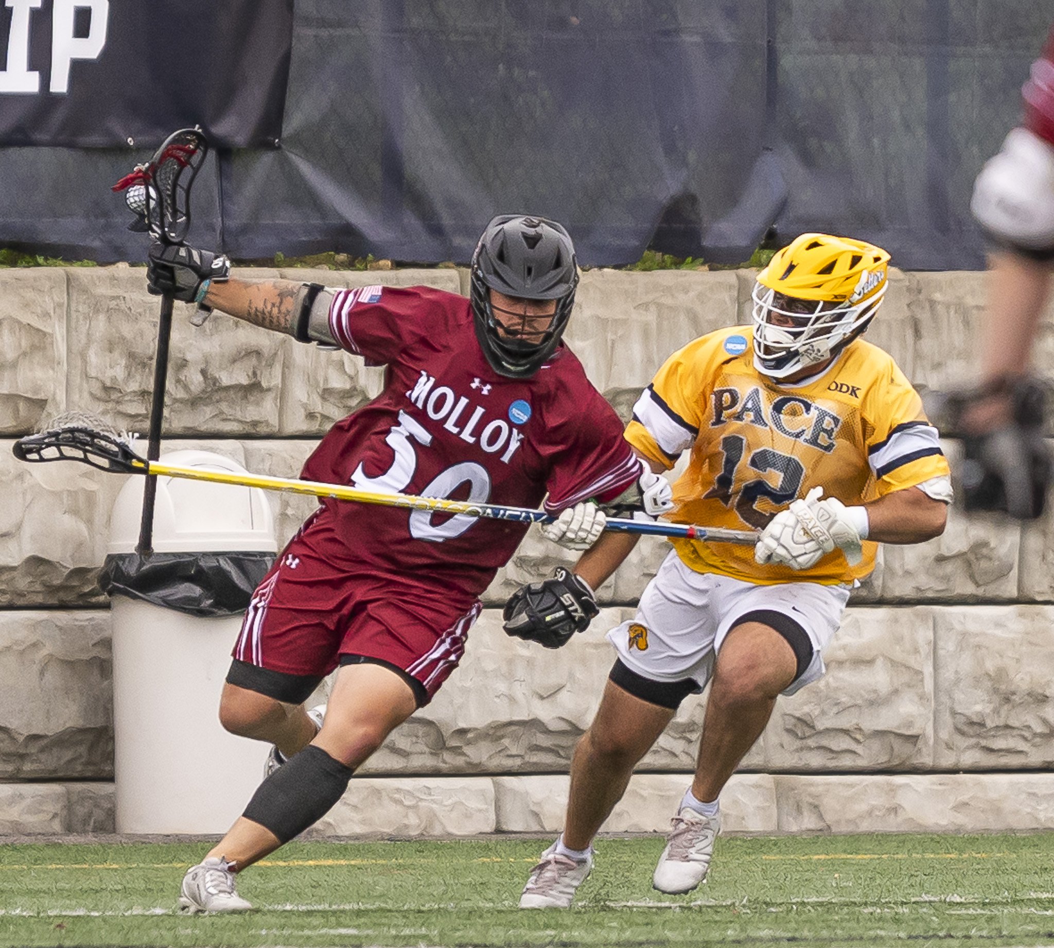 2025-05-07 Pace Lacrosse NCAA D2 North Regional Round 1 Playoffs vs. Molly University-39-39.jpg