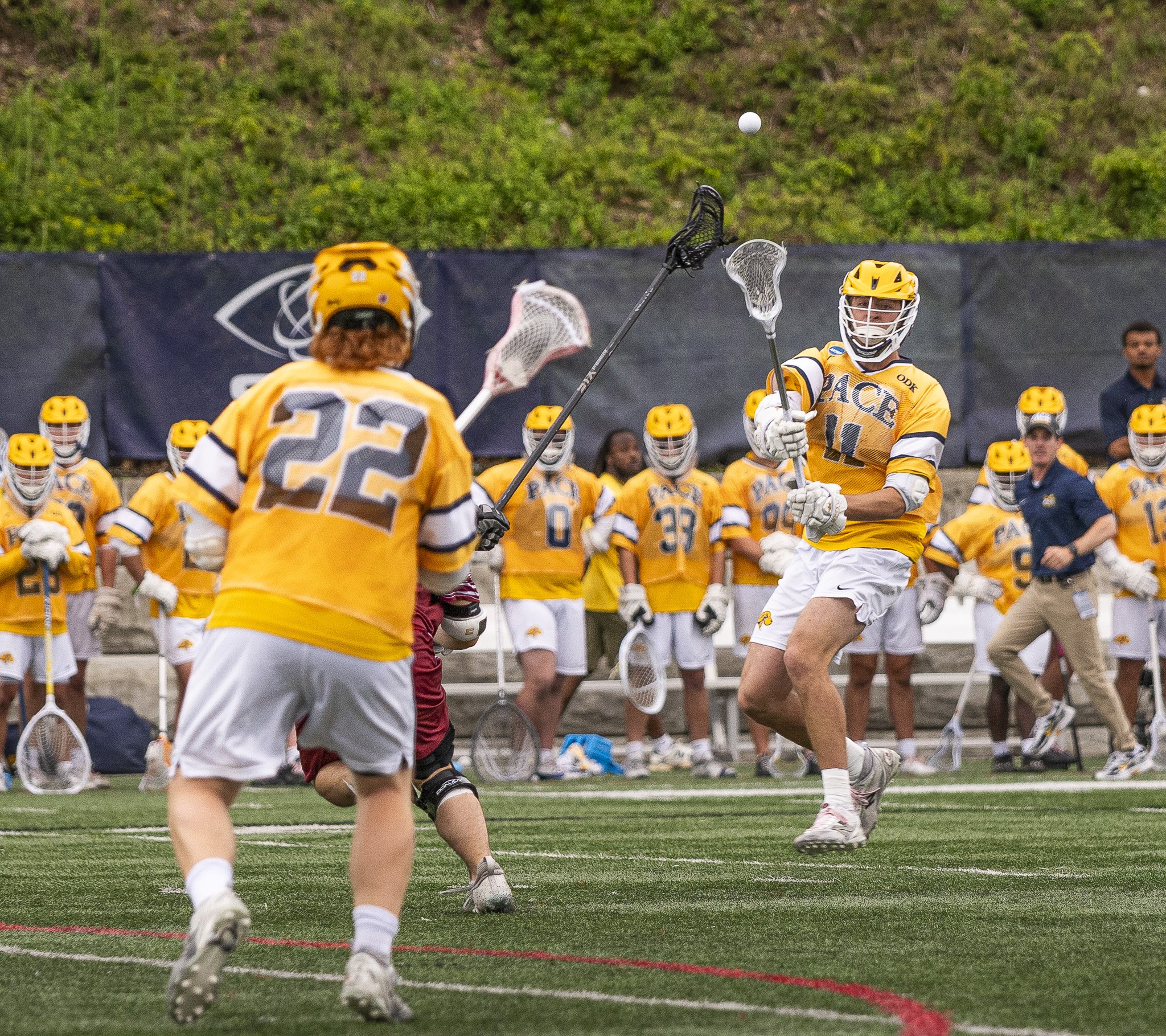 2025-05-07 Pace Lacrosse NCAA D2 North Regional Round 1 Playoffs vs. Molly University-38-38.jpg