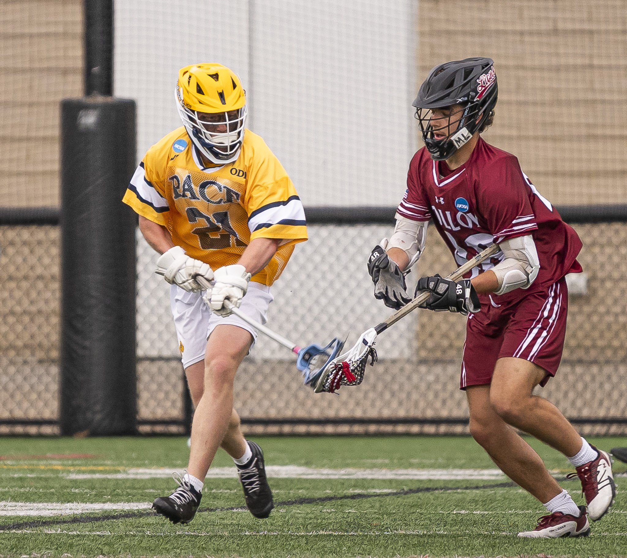 2025-05-07 Pace Lacrosse NCAA D2 North Regional Round 1 Playoffs vs. Molly University-47-47.jpg