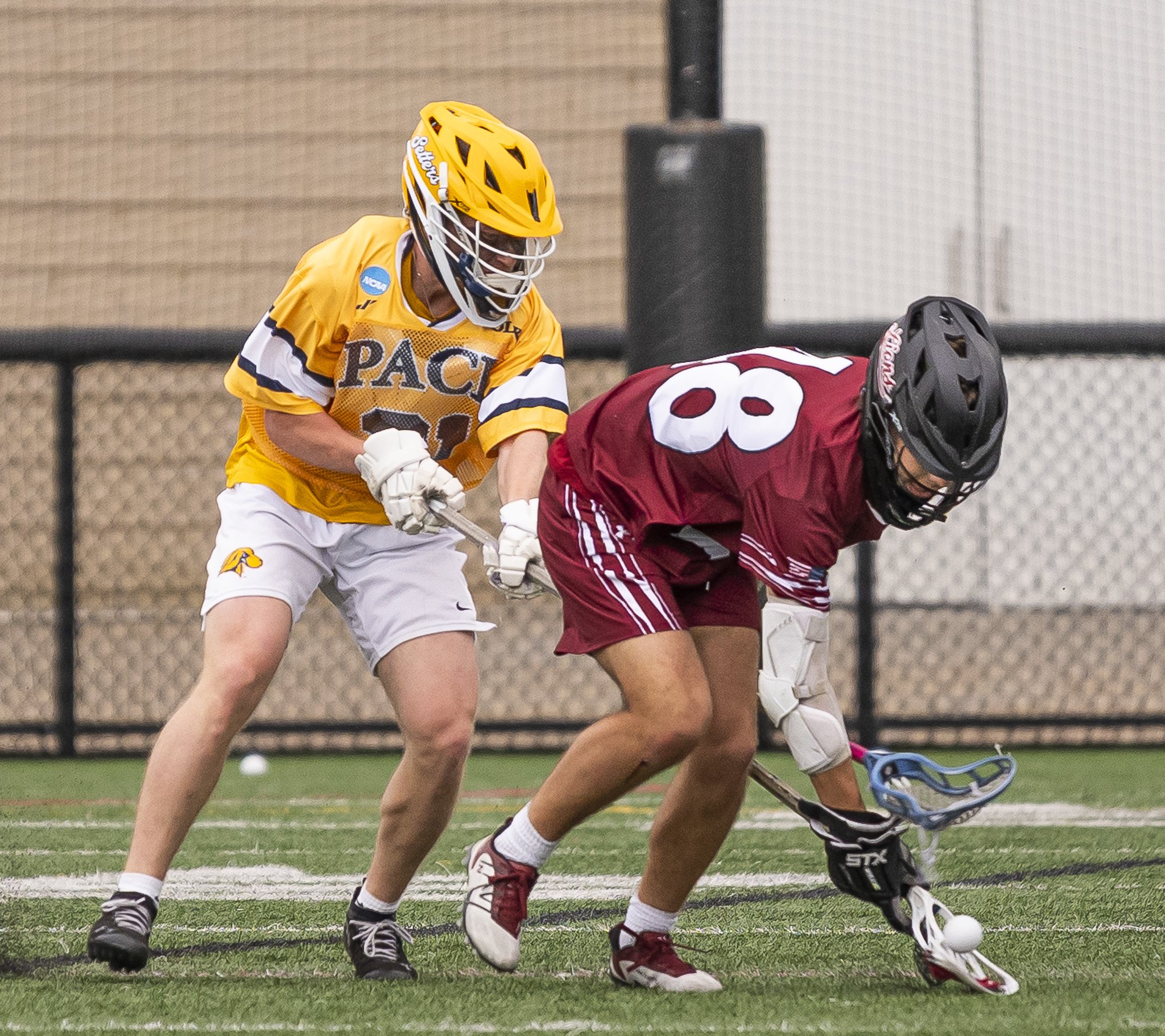 2025-05-07 Pace Lacrosse NCAA D2 North Regional Round 1 Playoffs vs. Molly University-48-48.jpg