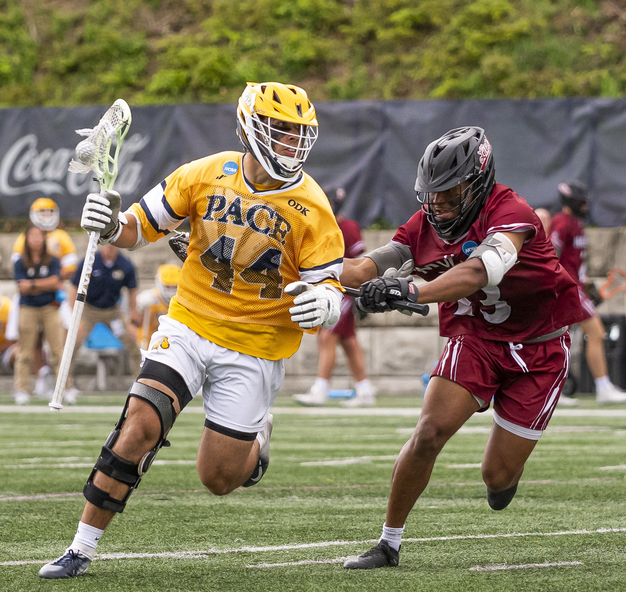 2025-05-07 Pace Lacrosse NCAA D2 North Regional Round 1 Playoffs vs. Molly University-55-53.jpg