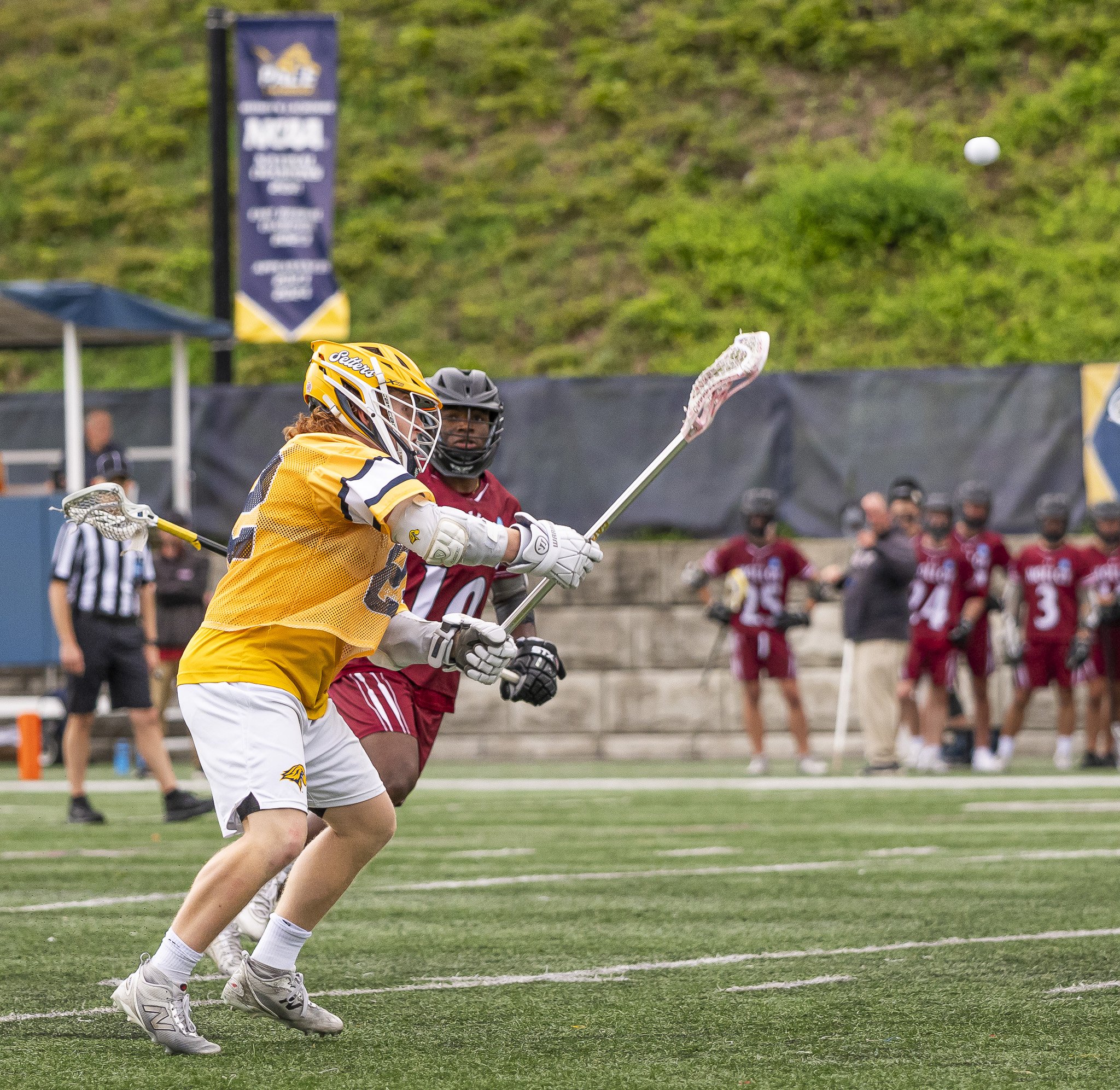 2025-05-07 Pace Lacrosse NCAA D2 North Regional Round 1 Playoffs vs. Molly University-58-56.jpg