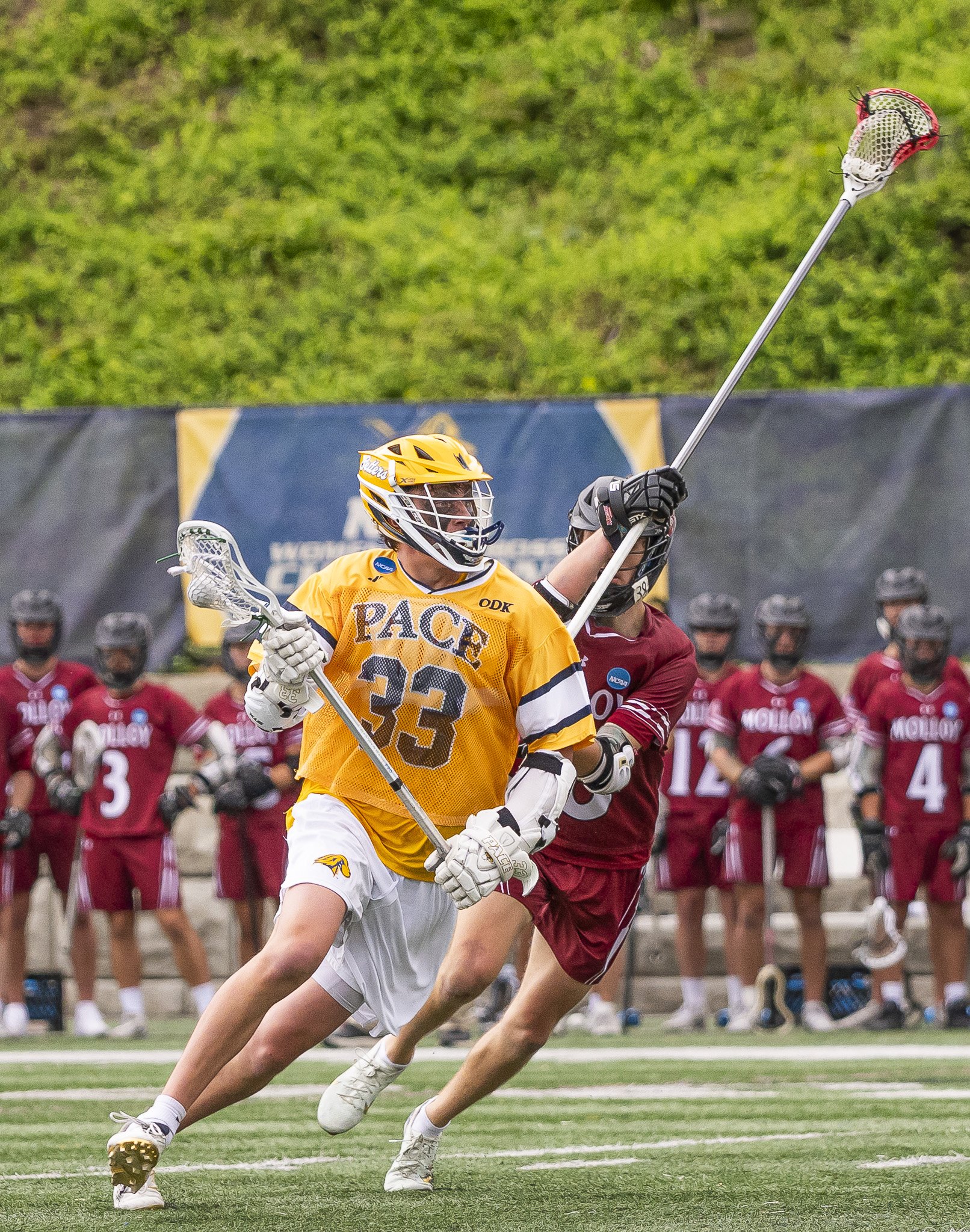 2025-05-07 Pace Lacrosse NCAA D2 North Regional Round 1 Playoffs vs. Molly University-60-58.jpg