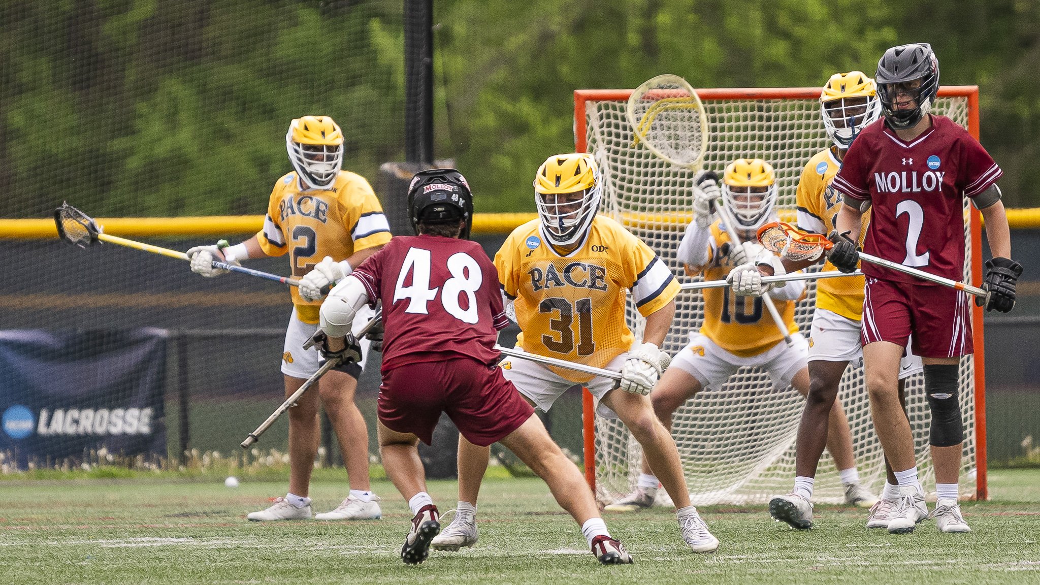 2025-05-07 Pace Lacrosse NCAA D2 North Regional Round 1 Playoffs vs. Molly University-66-64.jpg
