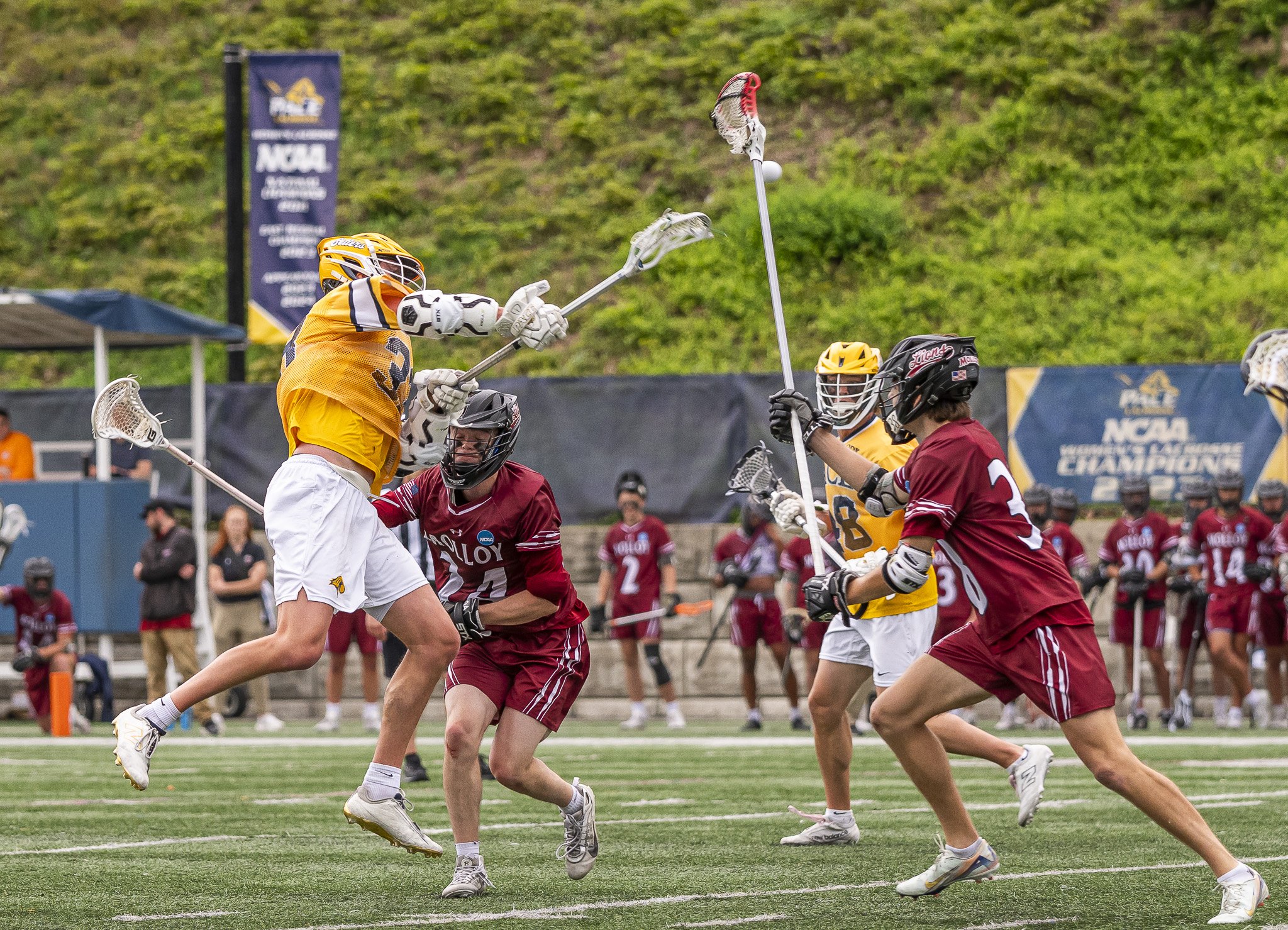 2025-05-07 Pace Lacrosse NCAA D2 North Regional Round 1 Playoffs vs. Molly University-68-66.jpg