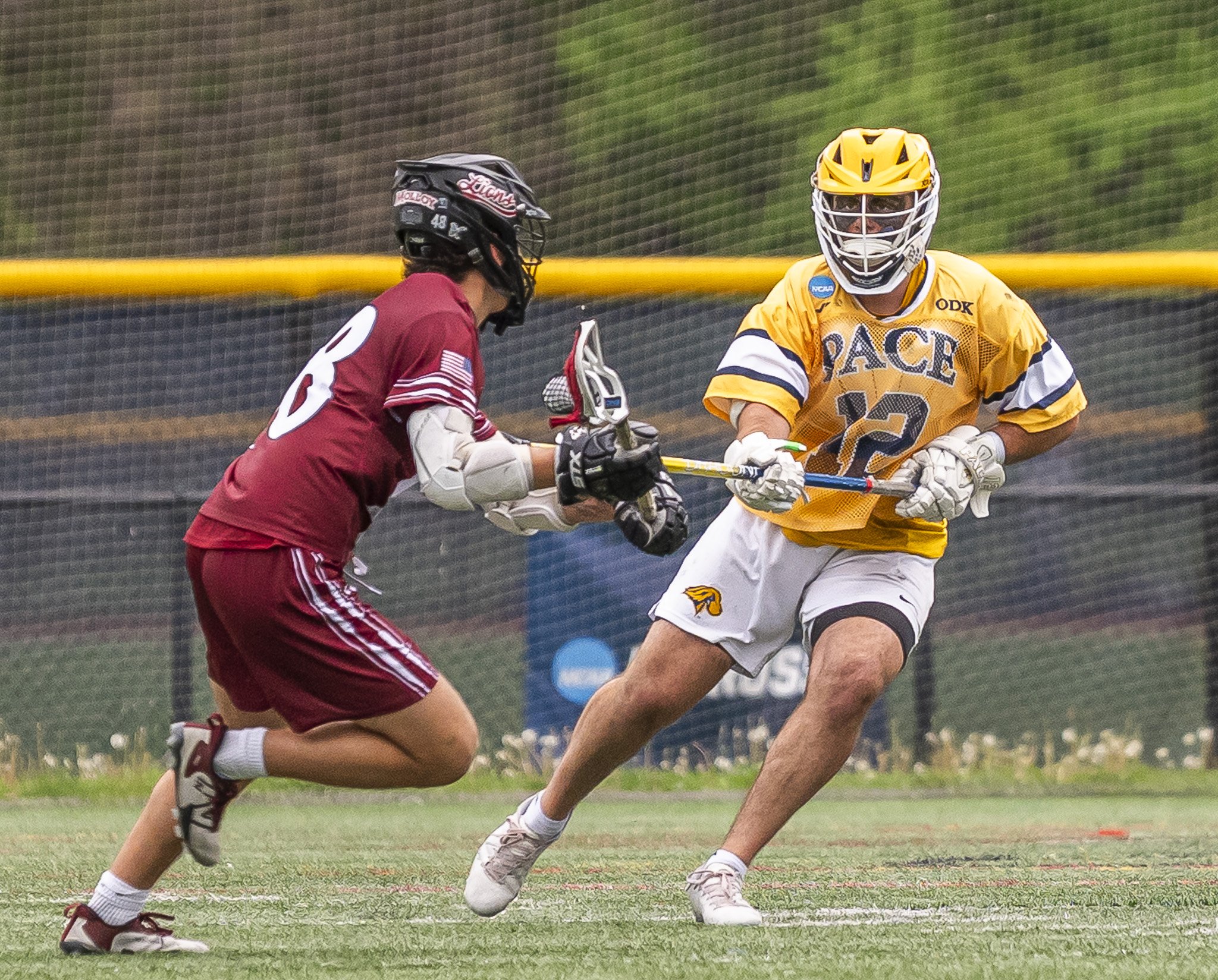 2025-05-07 Pace Lacrosse NCAA D2 North Regional Round 1 Playoffs vs. Molly University-70-68.jpg