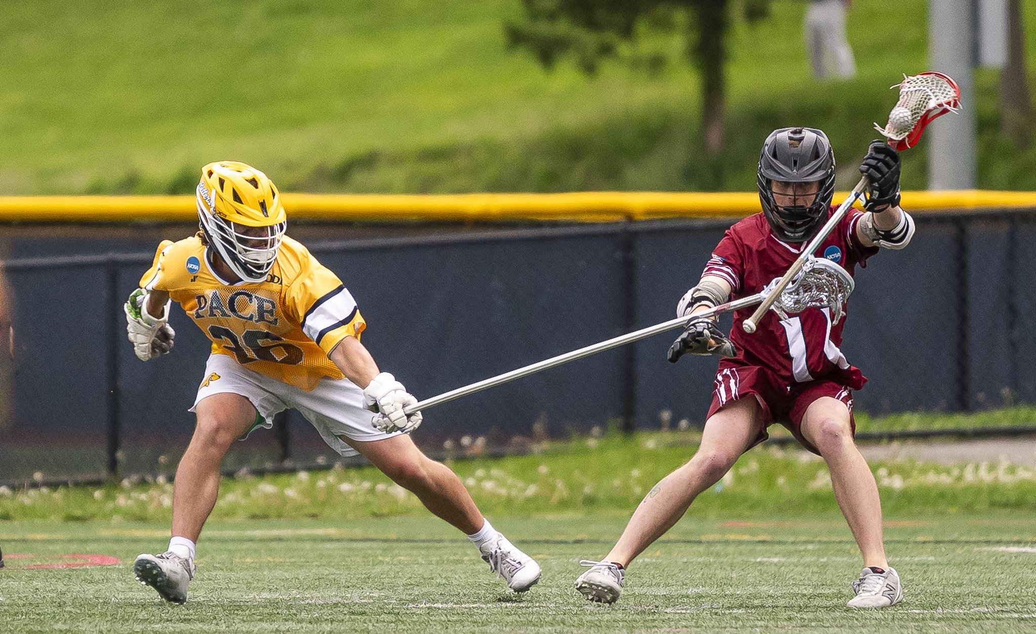 2025-05-07 Pace Lacrosse NCAA D2 North Regional Round 1 Playoffs vs. Molly University-71-69.jpg