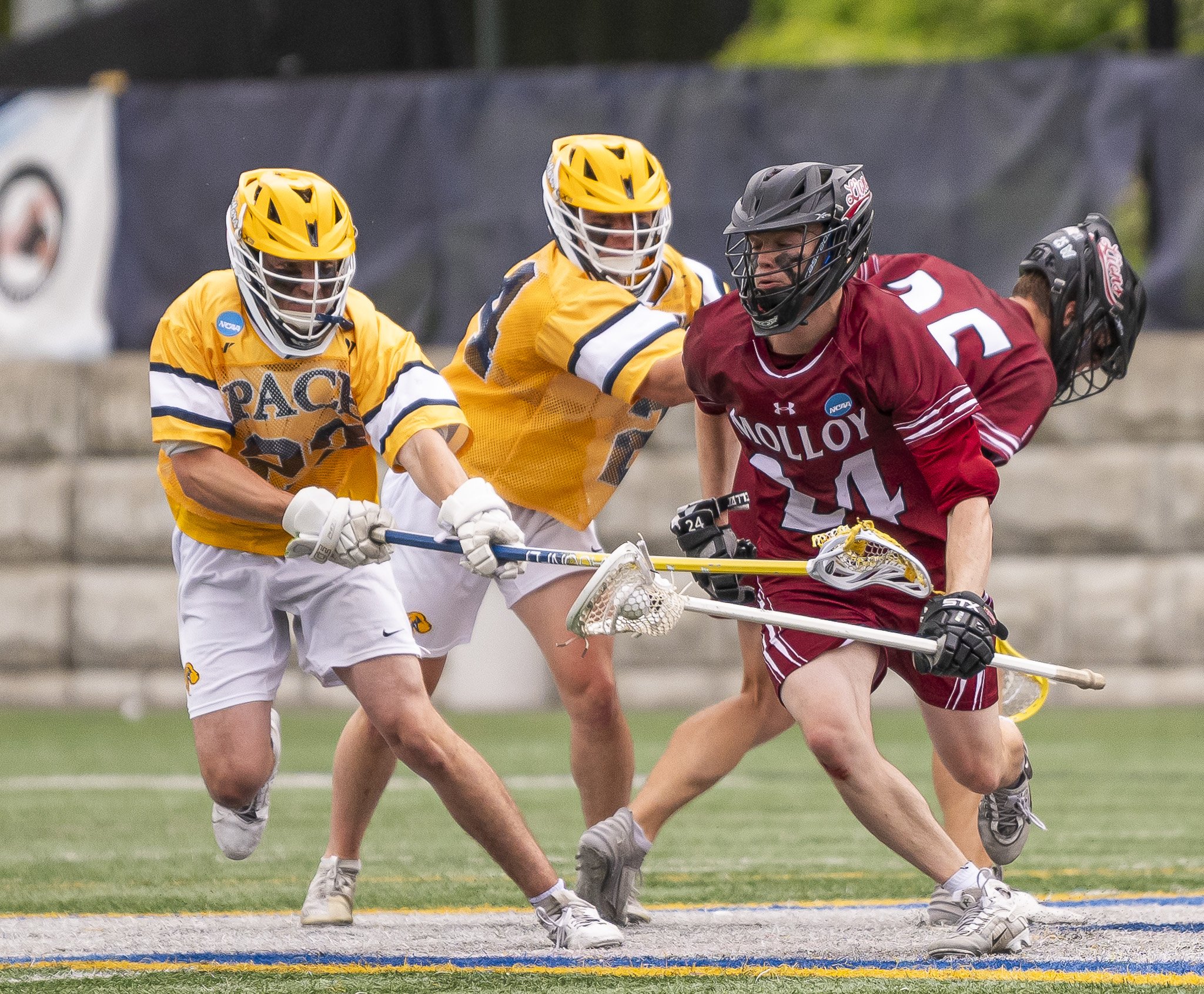 2025-05-07 Pace Lacrosse NCAA D2 North Regional Round 1 Playoffs vs. Molly University-72-70.jpg