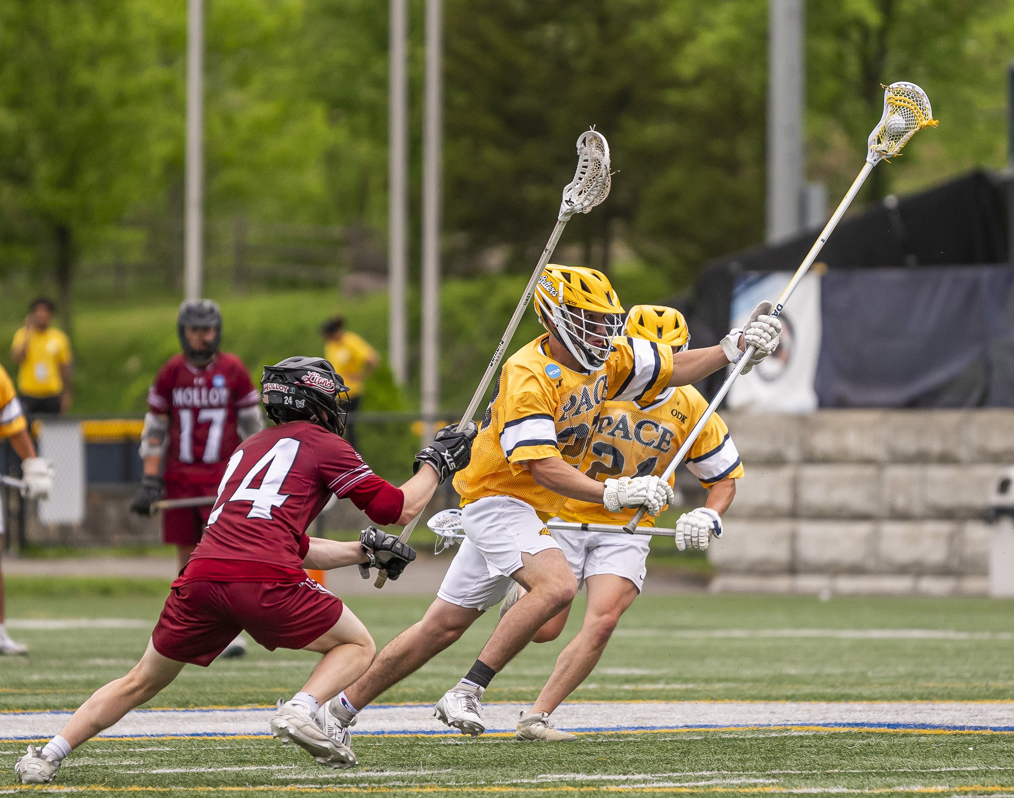 2025-05-07 Pace Lacrosse NCAA D2 North Regional Round 1 Playoffs vs. Molly University-73-71.jpg