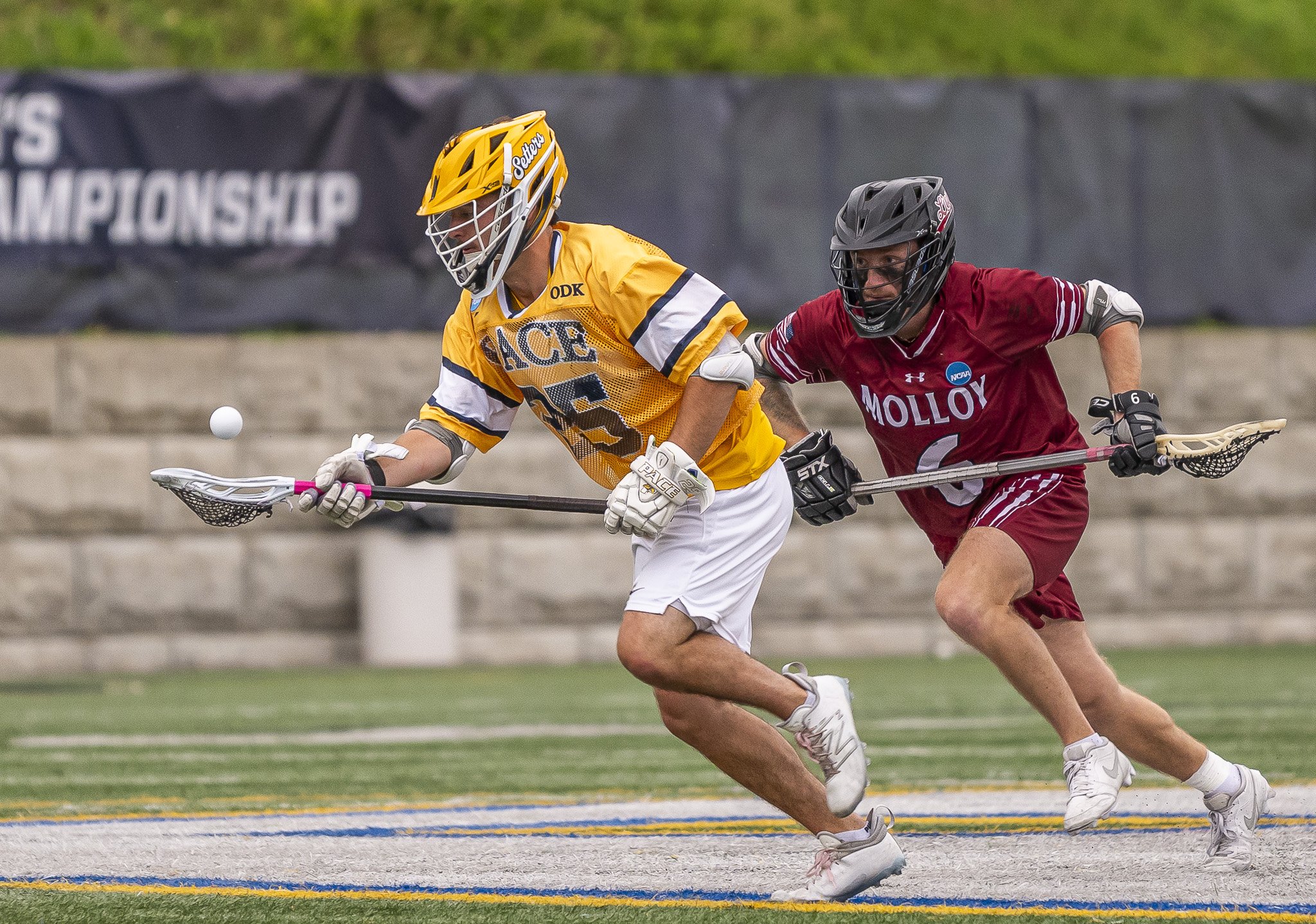 2025-05-07 Pace Lacrosse NCAA D2 North Regional Round 1 Playoffs vs. Molly University-77-75.jpg