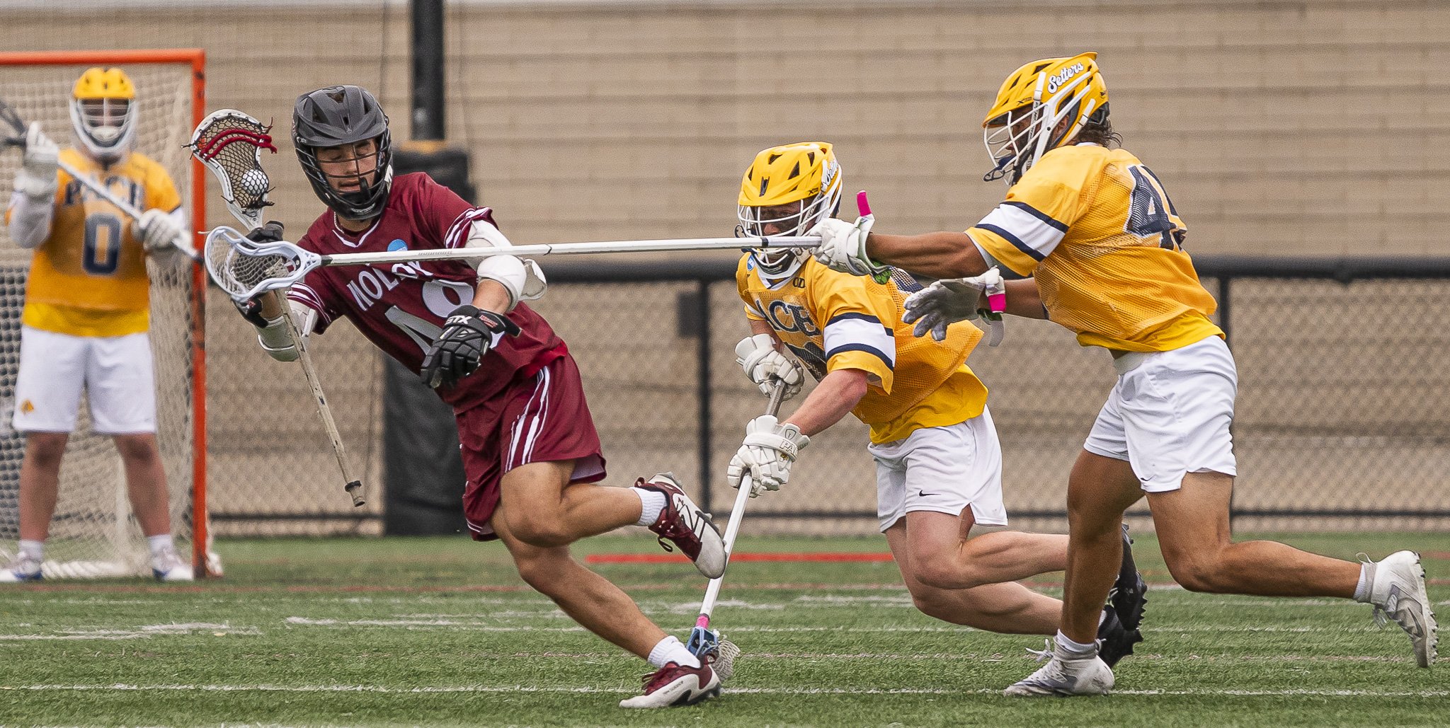 2025-05-07 Pace Lacrosse NCAA D2 North Regional Round 1 Playoffs vs. Molly University-81-79.jpg