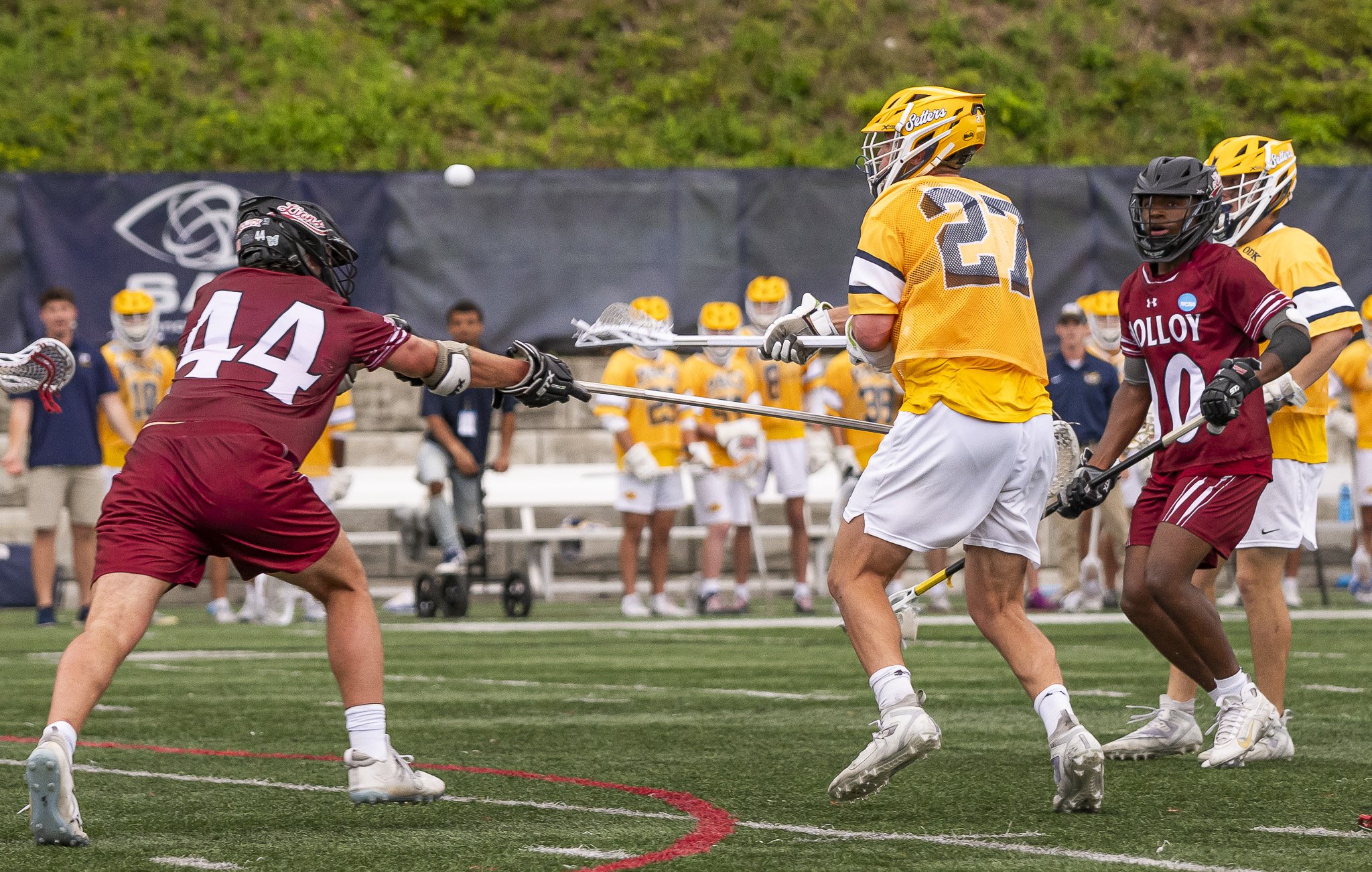 2025-05-07 Pace Lacrosse NCAA D2 North Regional Round 1 Playoffs vs. Molly University-88-86.jpg