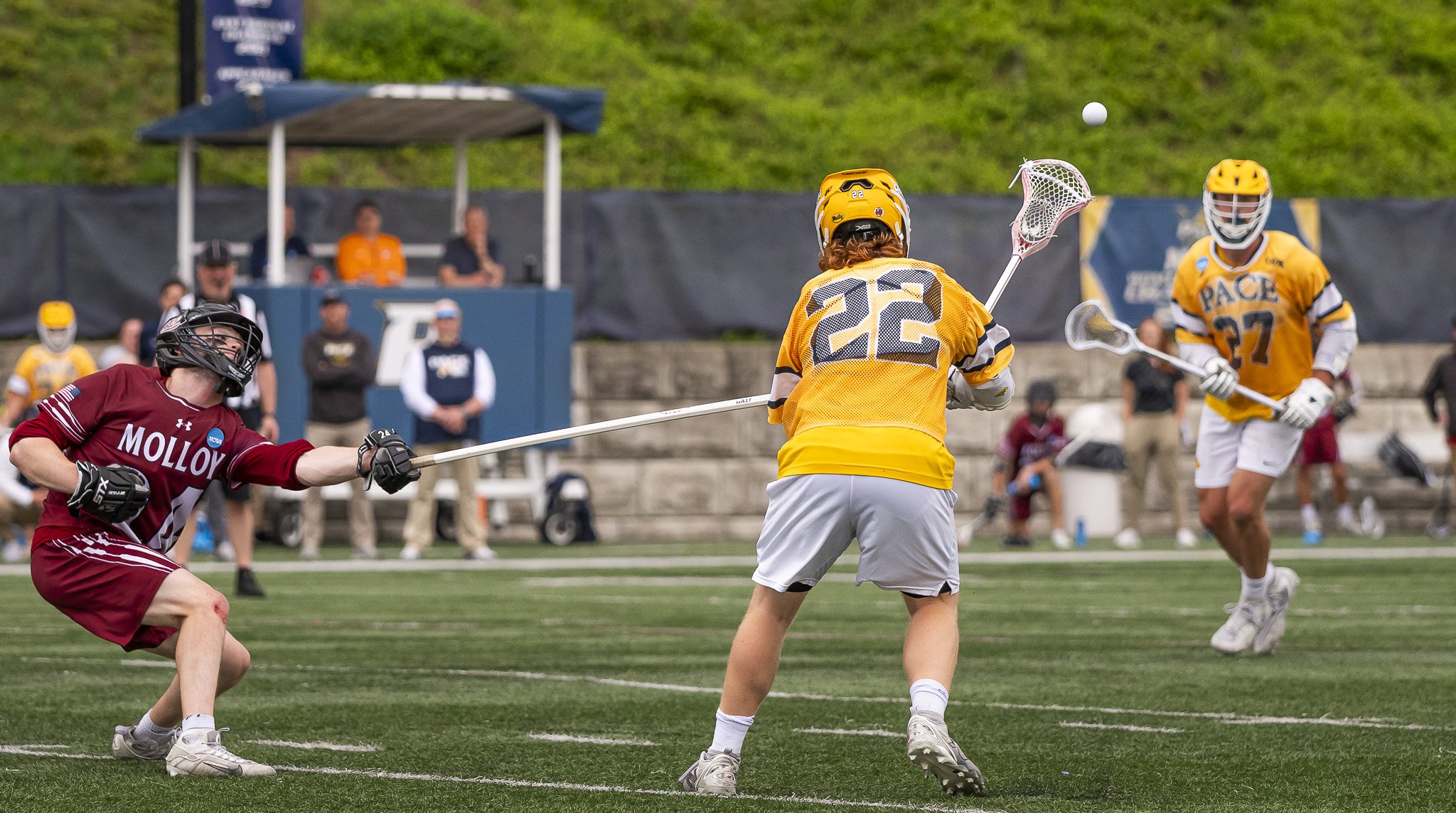 2025-05-07 Pace Lacrosse NCAA D2 North Regional Round 1 Playoffs vs. Molly University-89-87.jpg