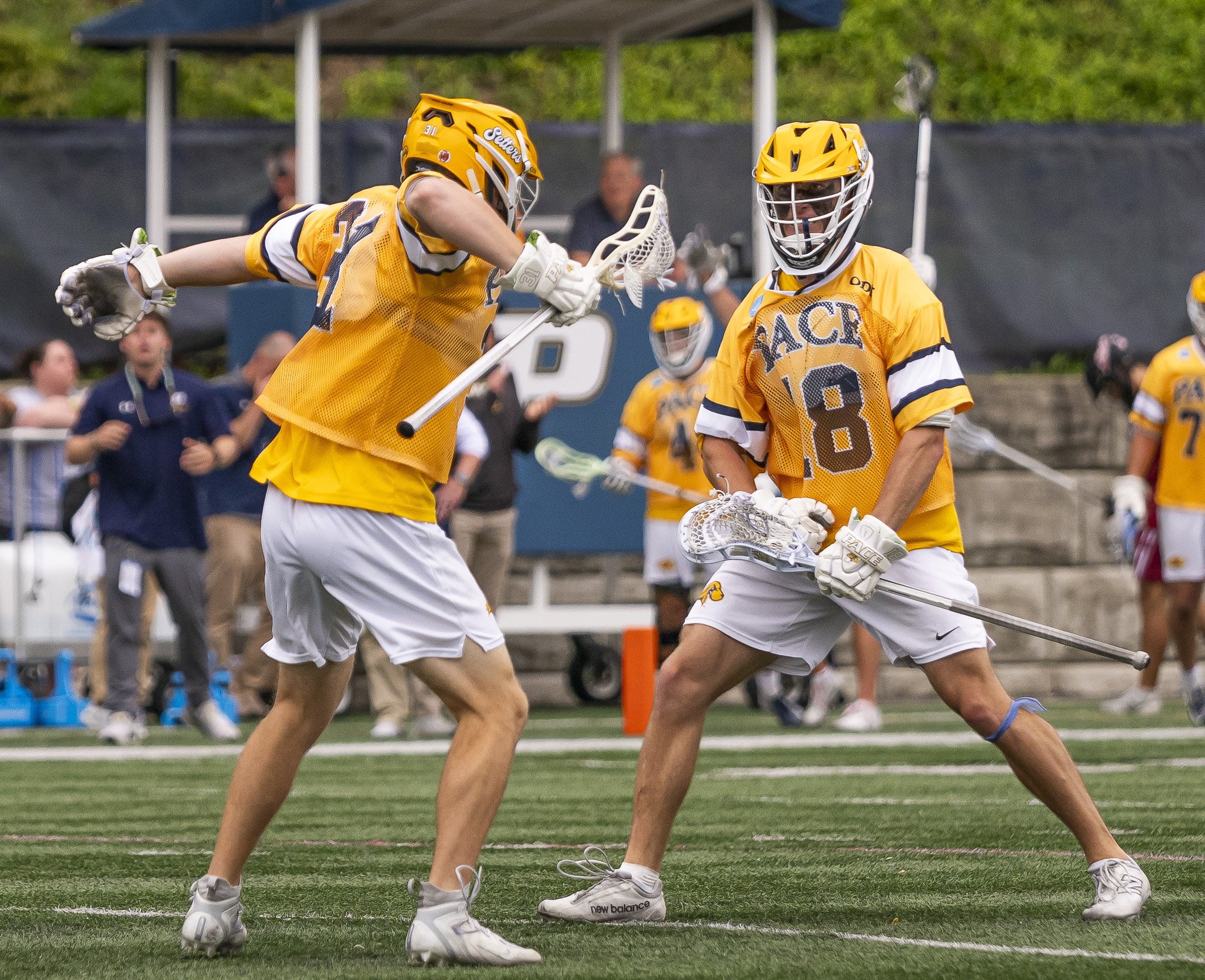2025-05-07 Pace Lacrosse NCAA D2 North Regional Round 1 Playoffs vs. Molly University-95-93.jpg