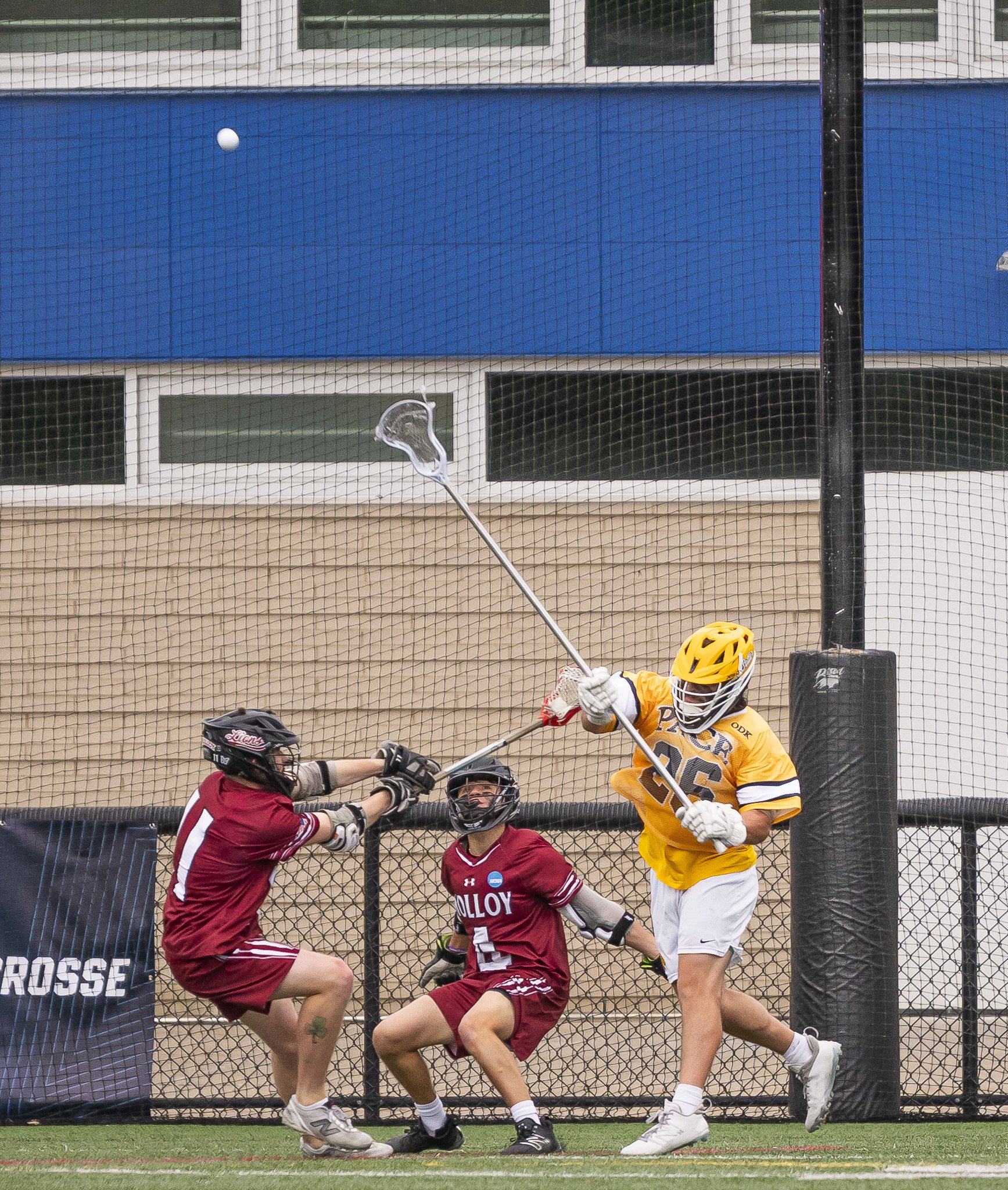 2025-05-07 Pace Lacrosse NCAA D2 North Regional Round 1 Playoffs vs. Molly University-104-102.jpg
