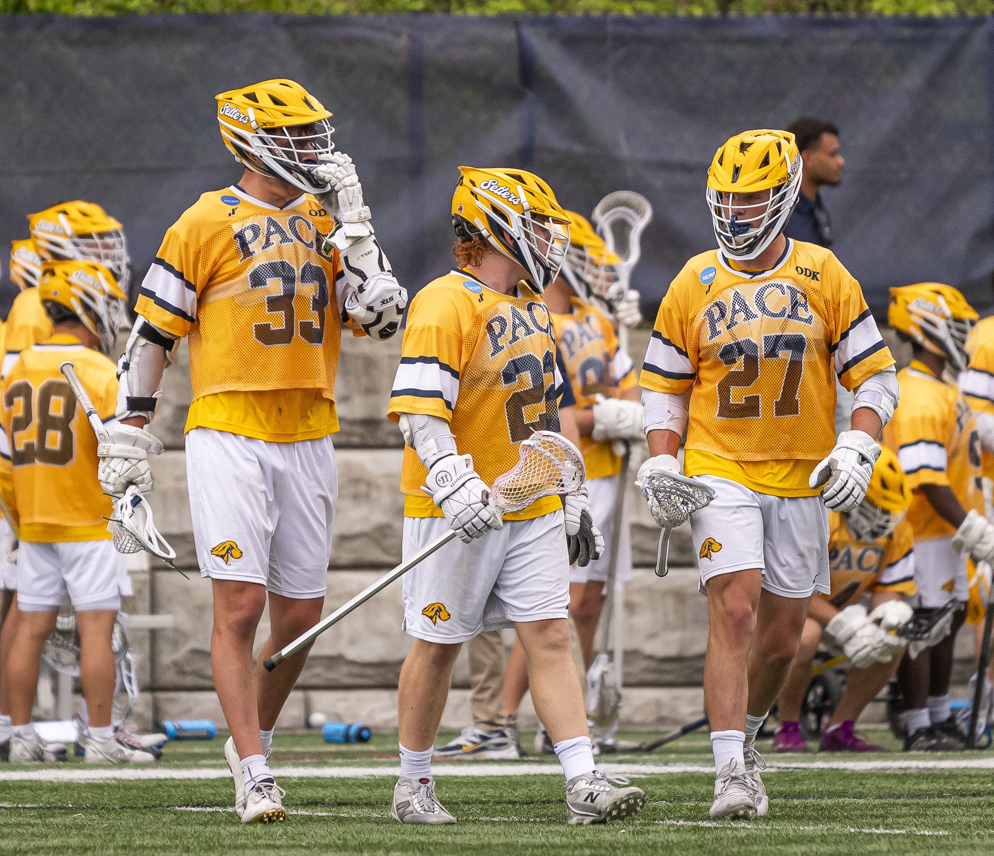 2025-05-07 Pace Lacrosse NCAA D2 North Regional Round 1 Playoffs vs. Molly University-116-114.jpg