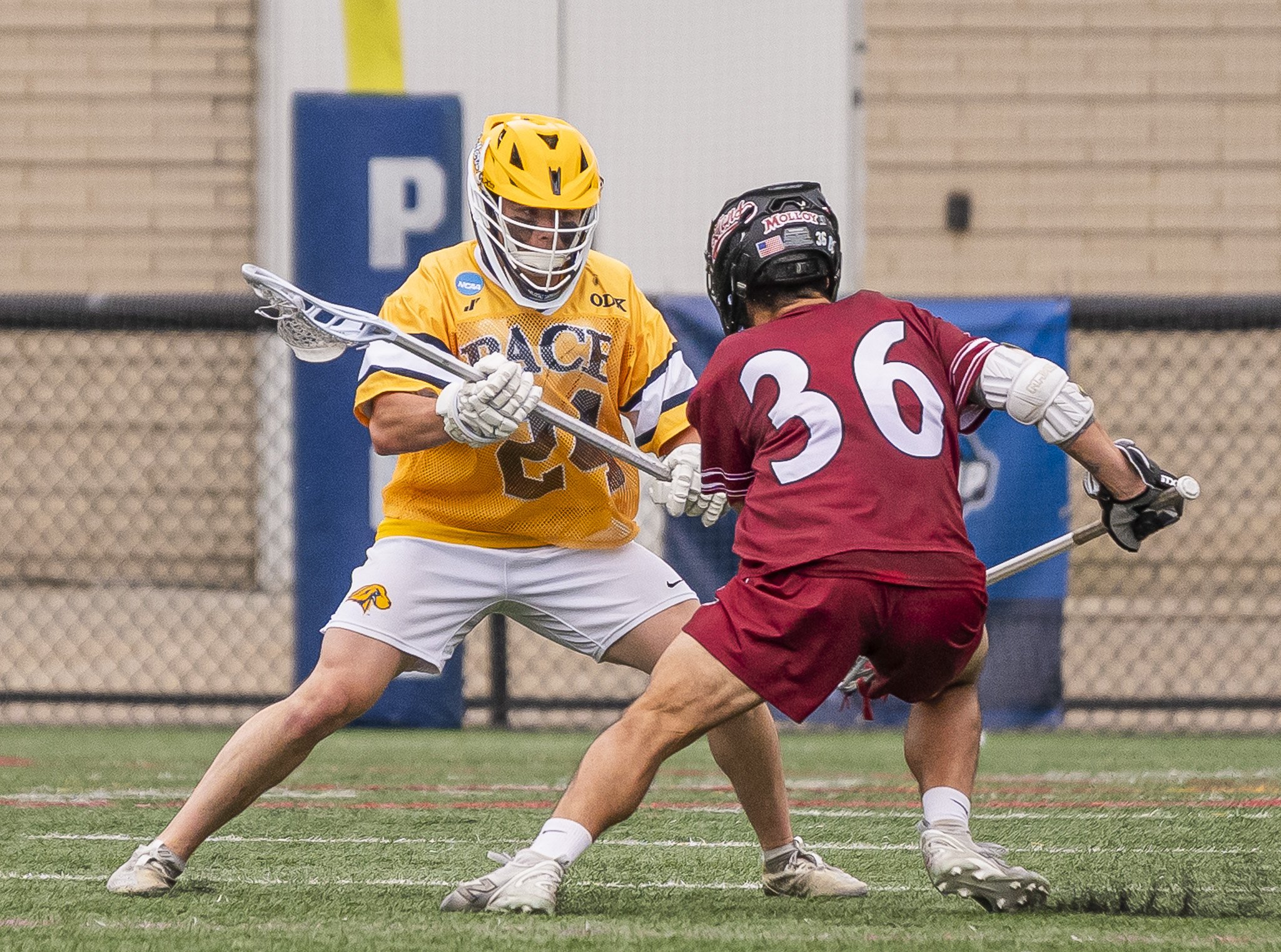 2025-05-07 Pace Lacrosse NCAA D2 North Regional Round 1 Playoffs vs. Molly University-119-117.jpg