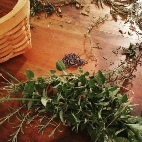 herb.jpg