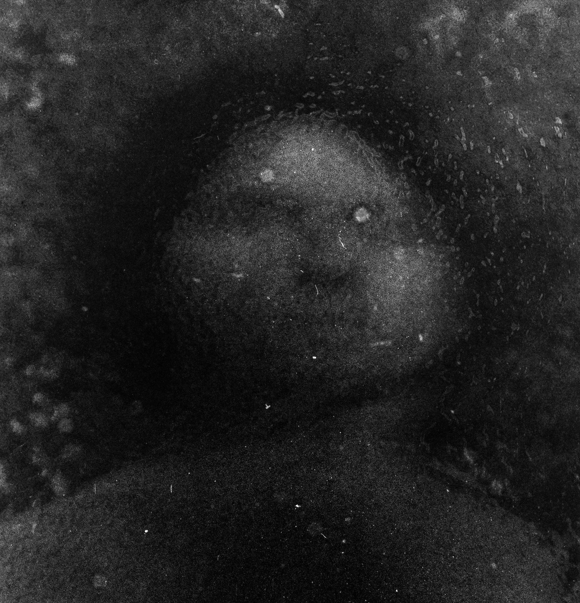 Man in the Moonlight V2_Web.jpg