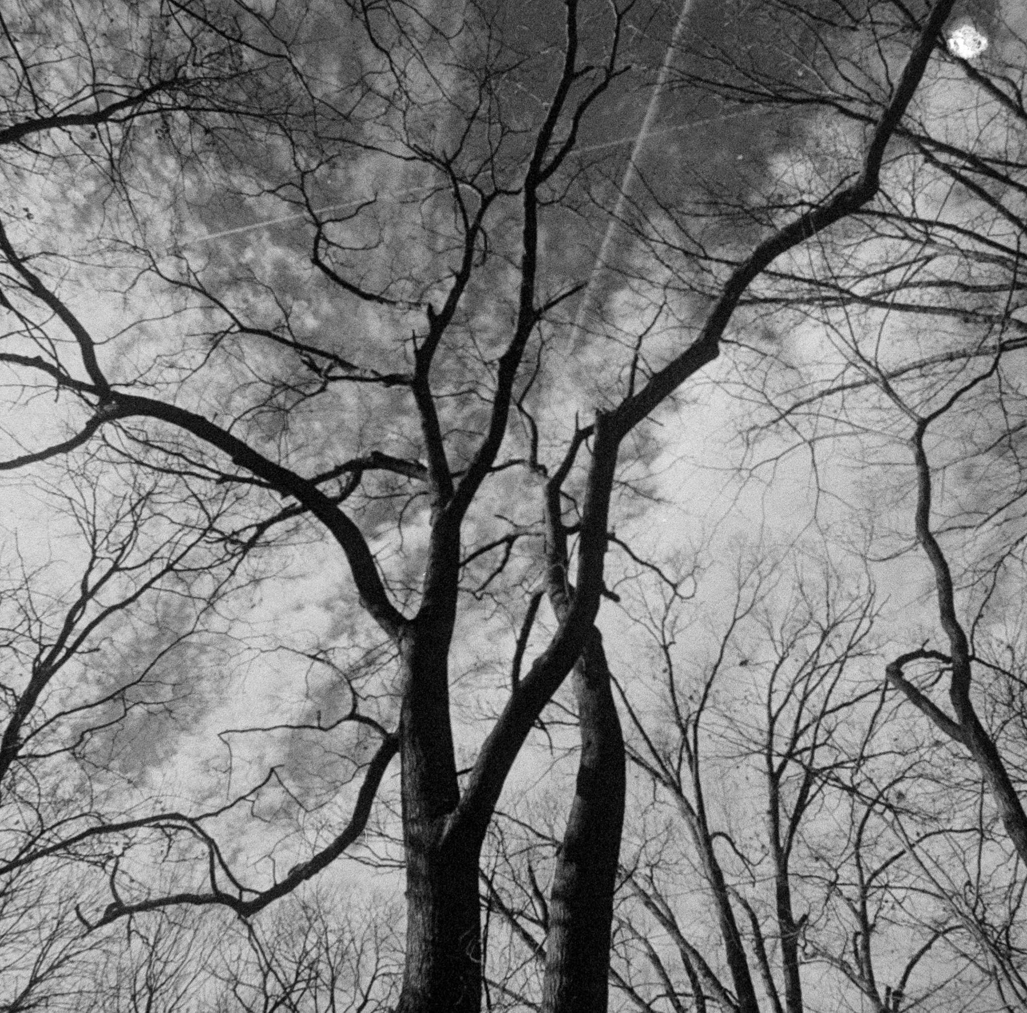 R69_NLPScan-18_Graded-1_Web.jpg