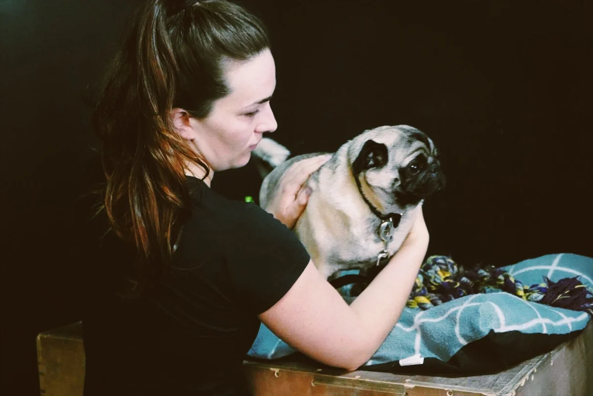  group-fitness-crossfit-auckland 