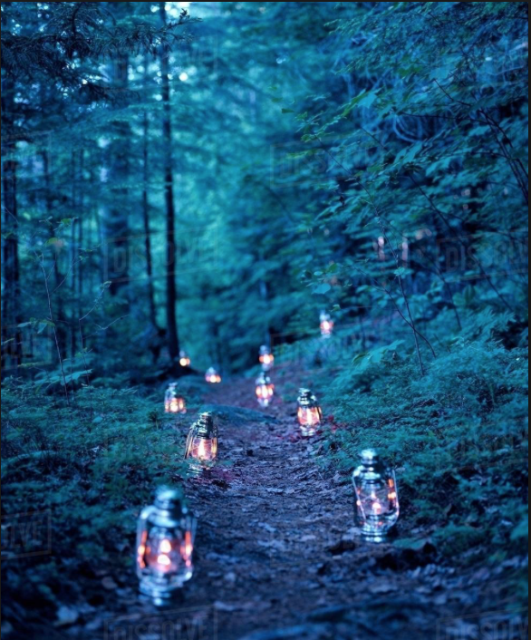 Align Your Path With Your Purpose.
