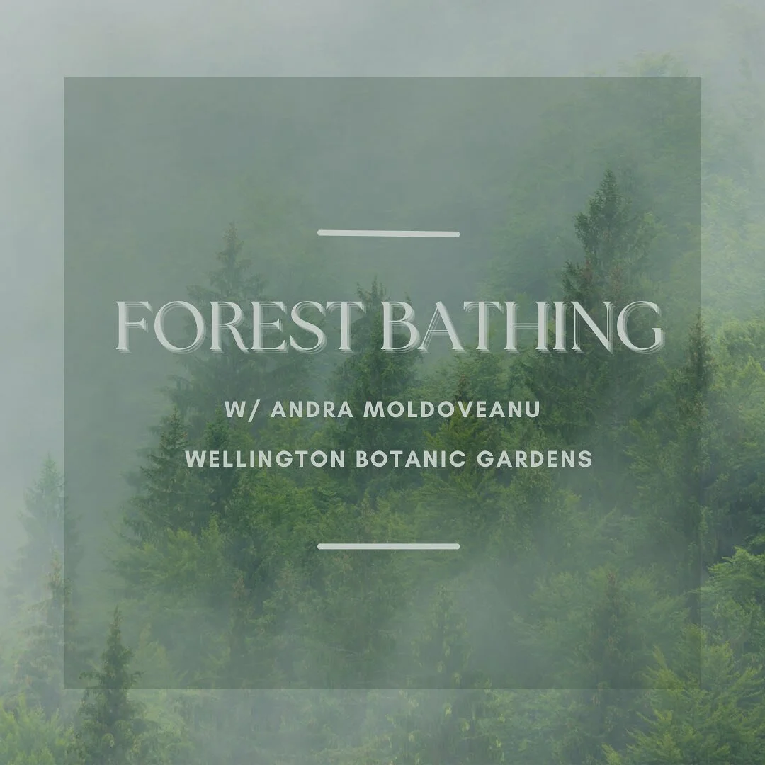Two tickets left for this Sunday&rsquo;s Women's Forest Bathing event - book now to reserve your space! 

Forest bathing doesn't entail an actual water bath but an intentional walk through the forest guided by mindfulness facilitator Andra Moldoveanu