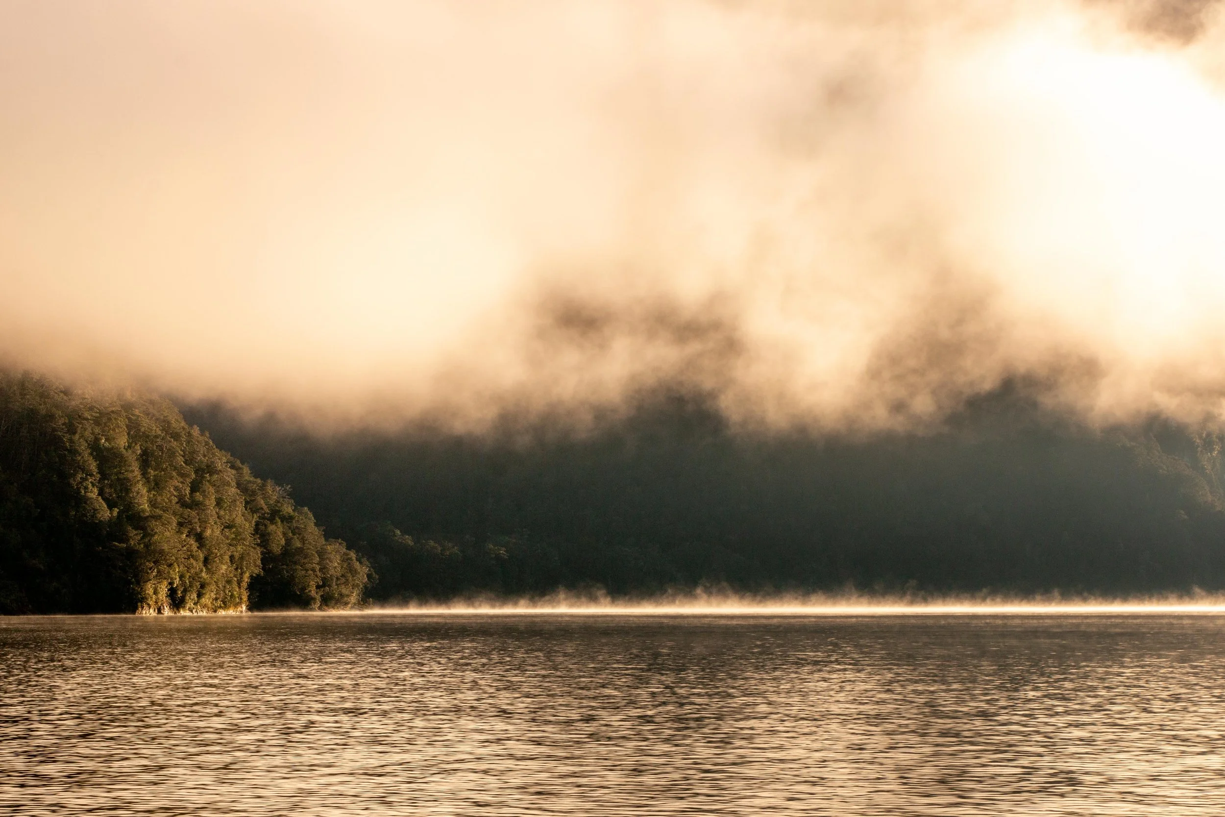 Workshop Series: Vinyasa – Mai i te pō ki te ao mārama